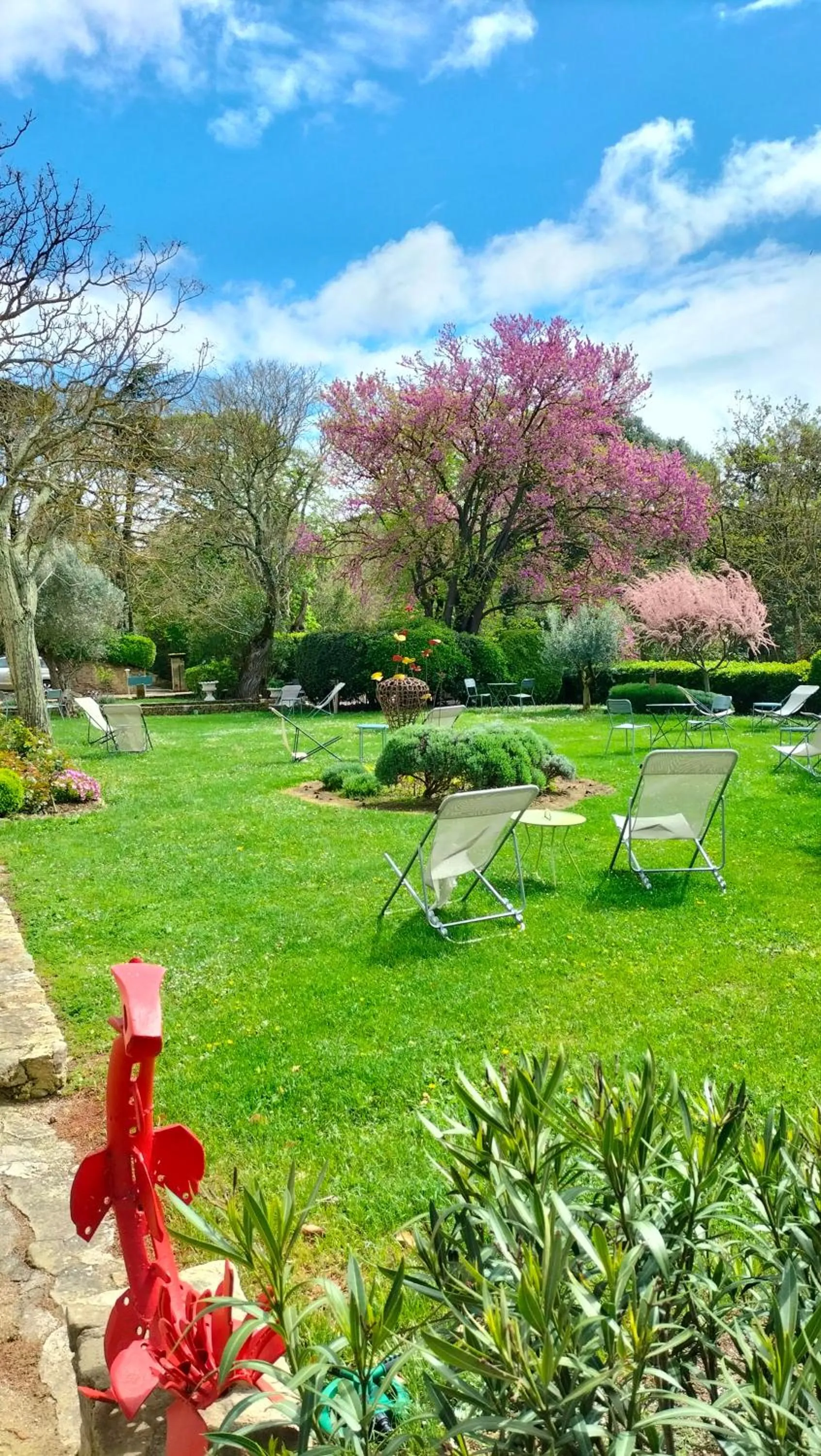 Garden in Logis Hôtel Château De Palaja