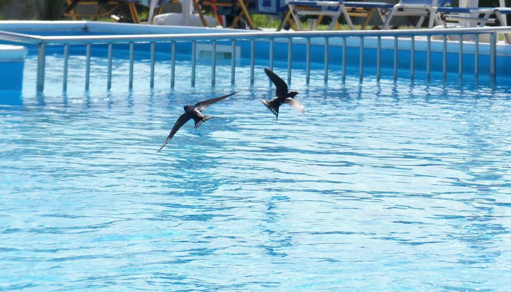 Garden in Egrypos Hotel