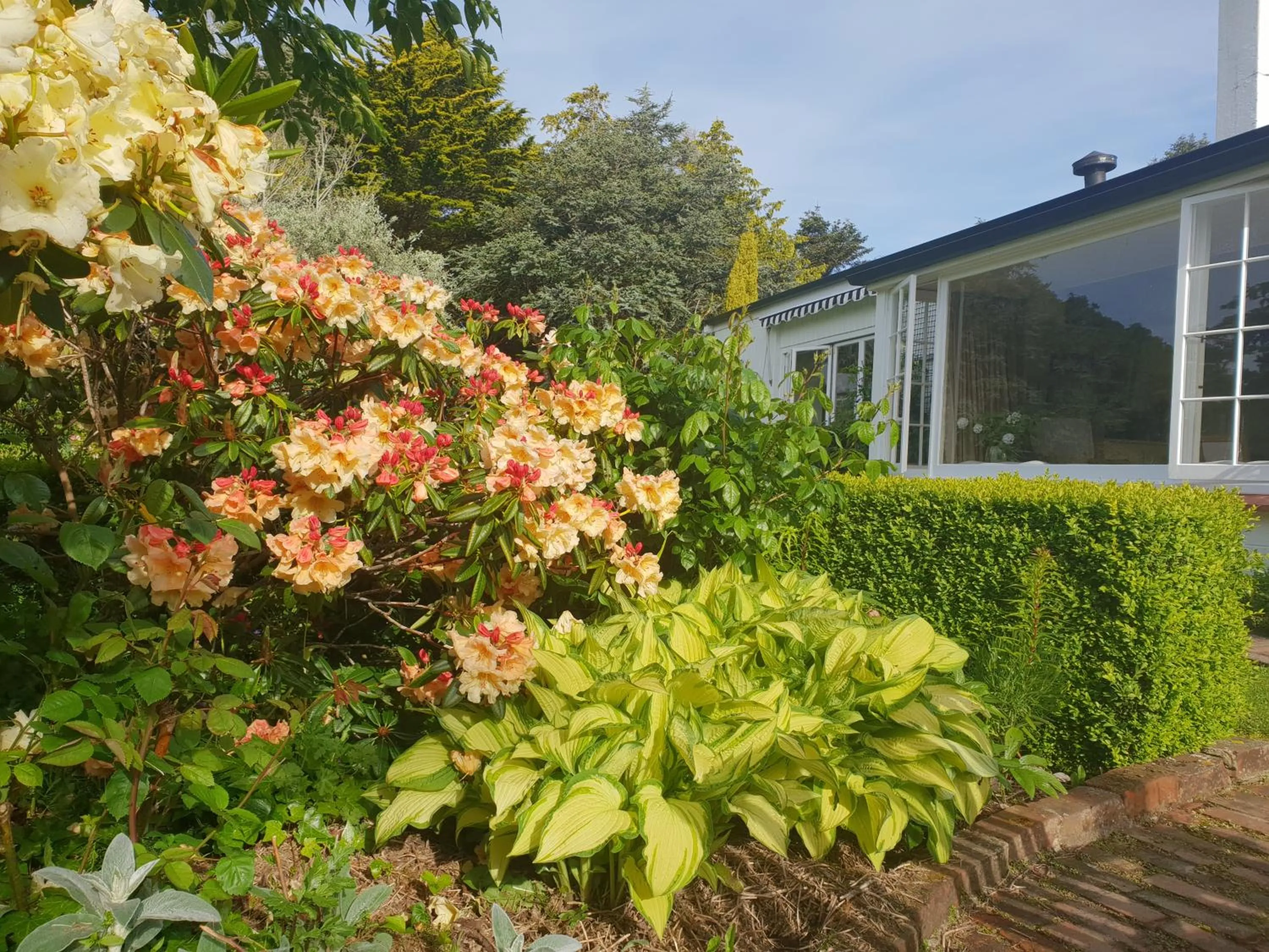 Garden view in Whiteacres