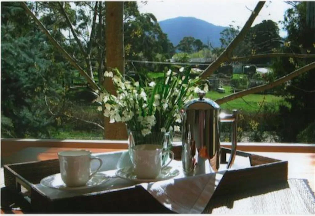 Natural landscape in Hollyhock