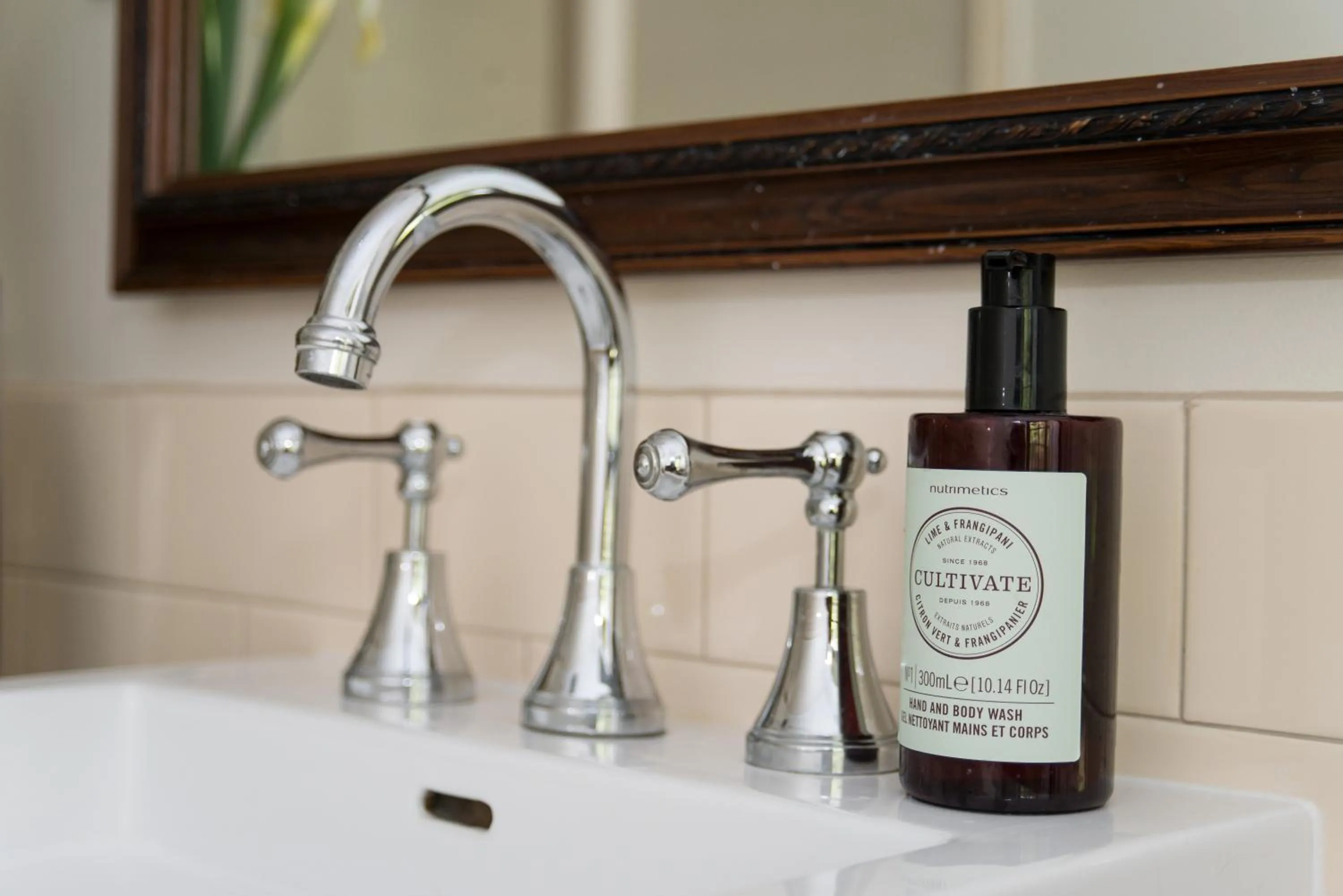 Bathroom in Hollyhock