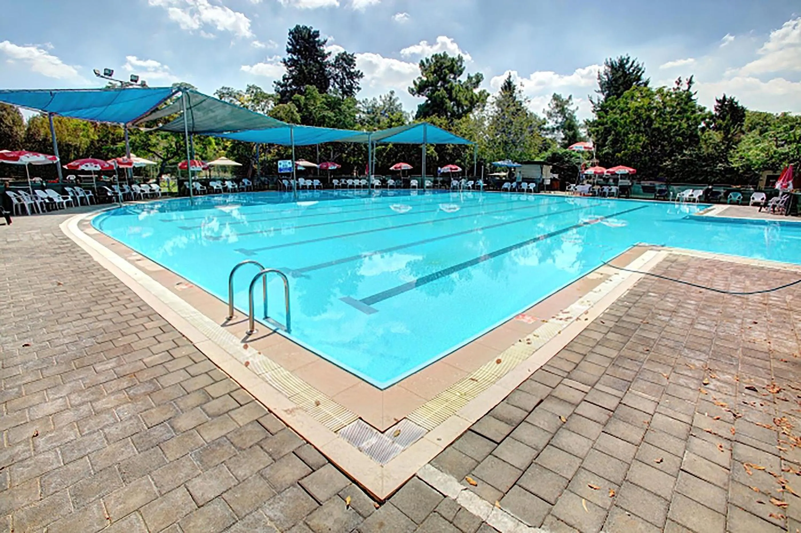 Swimming pool in Nof Tavor Hotel