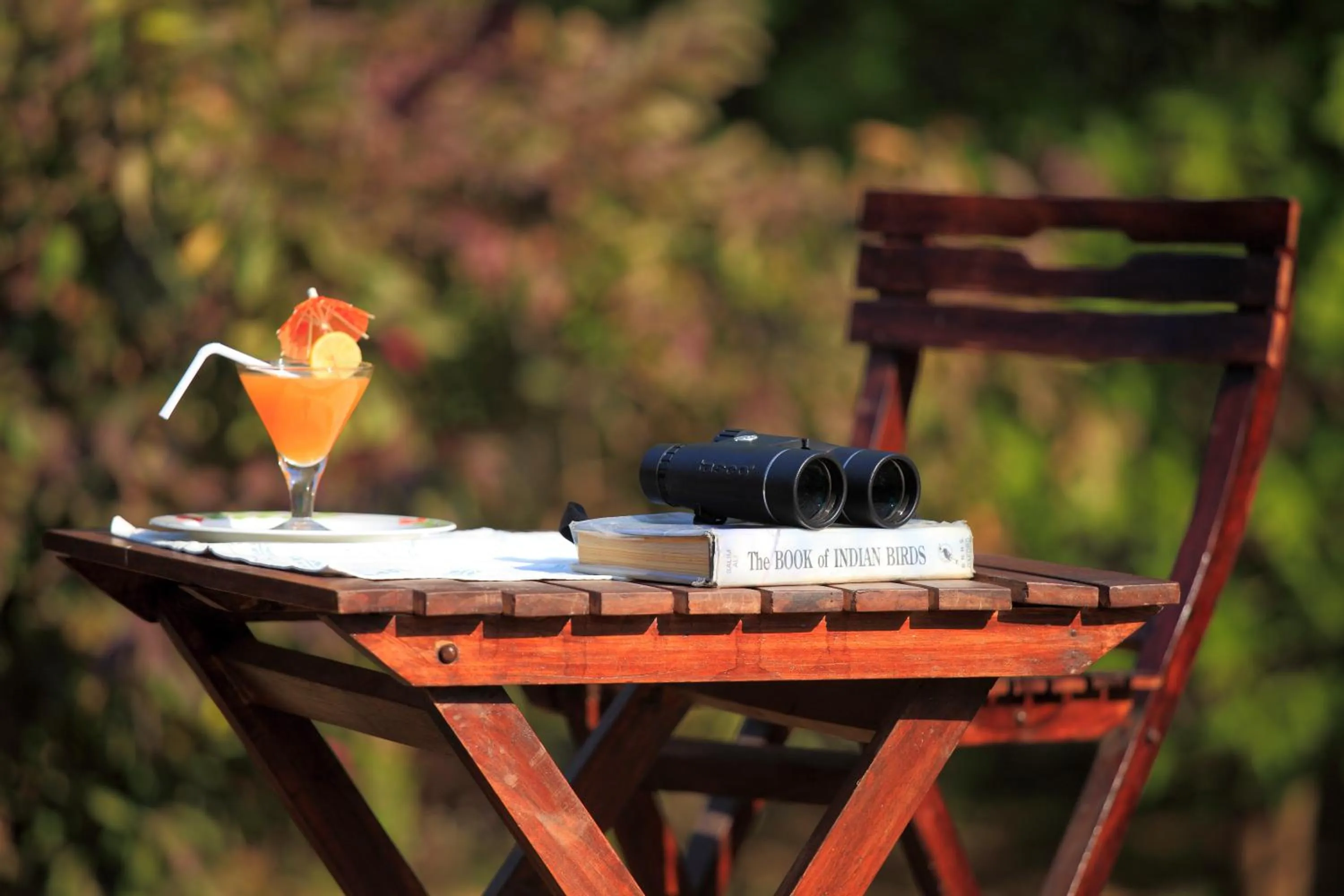 Bird's eye view in Dev Vilas