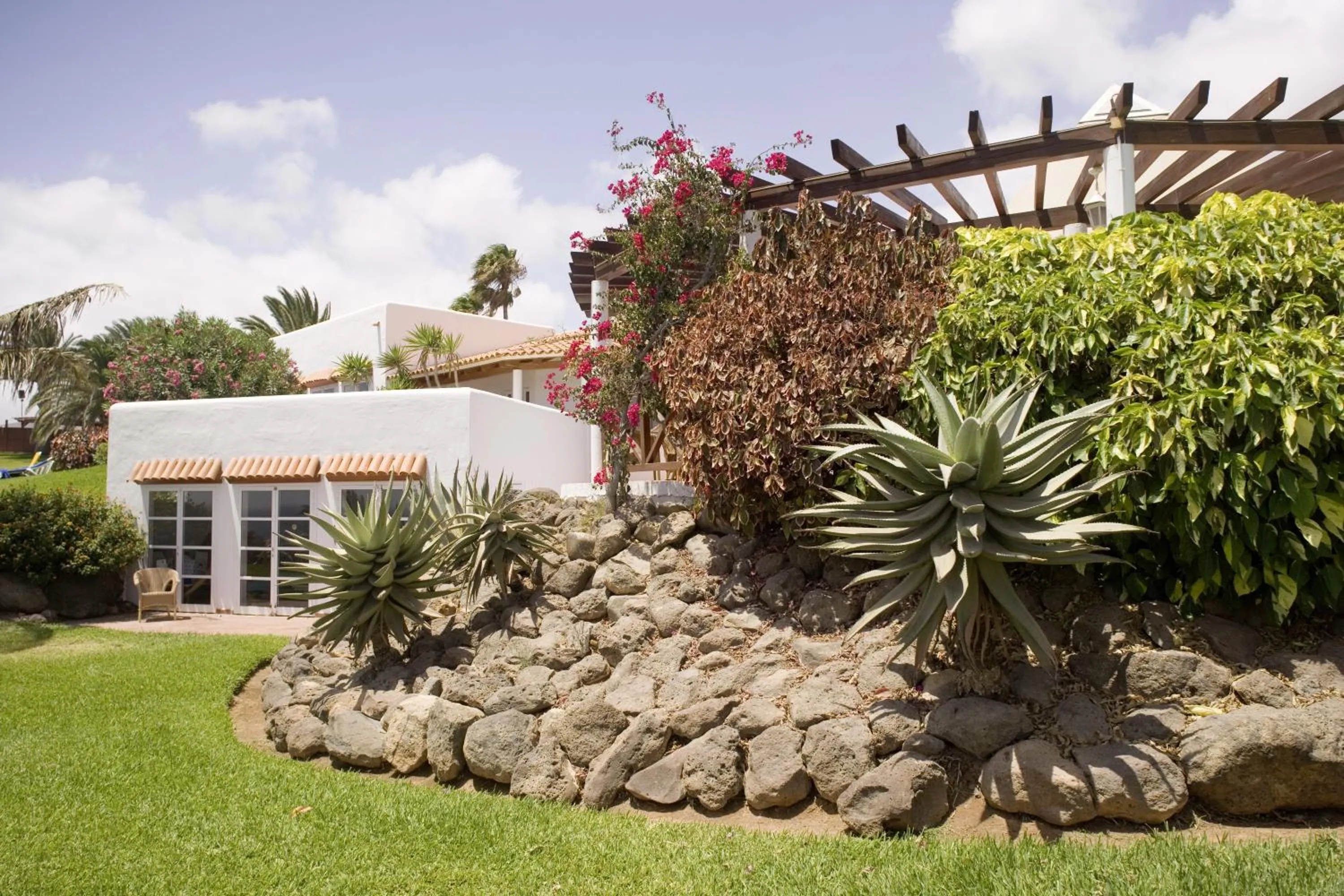 Garden in ROBINSON ESQUINZO PLAYA - All Inclusive