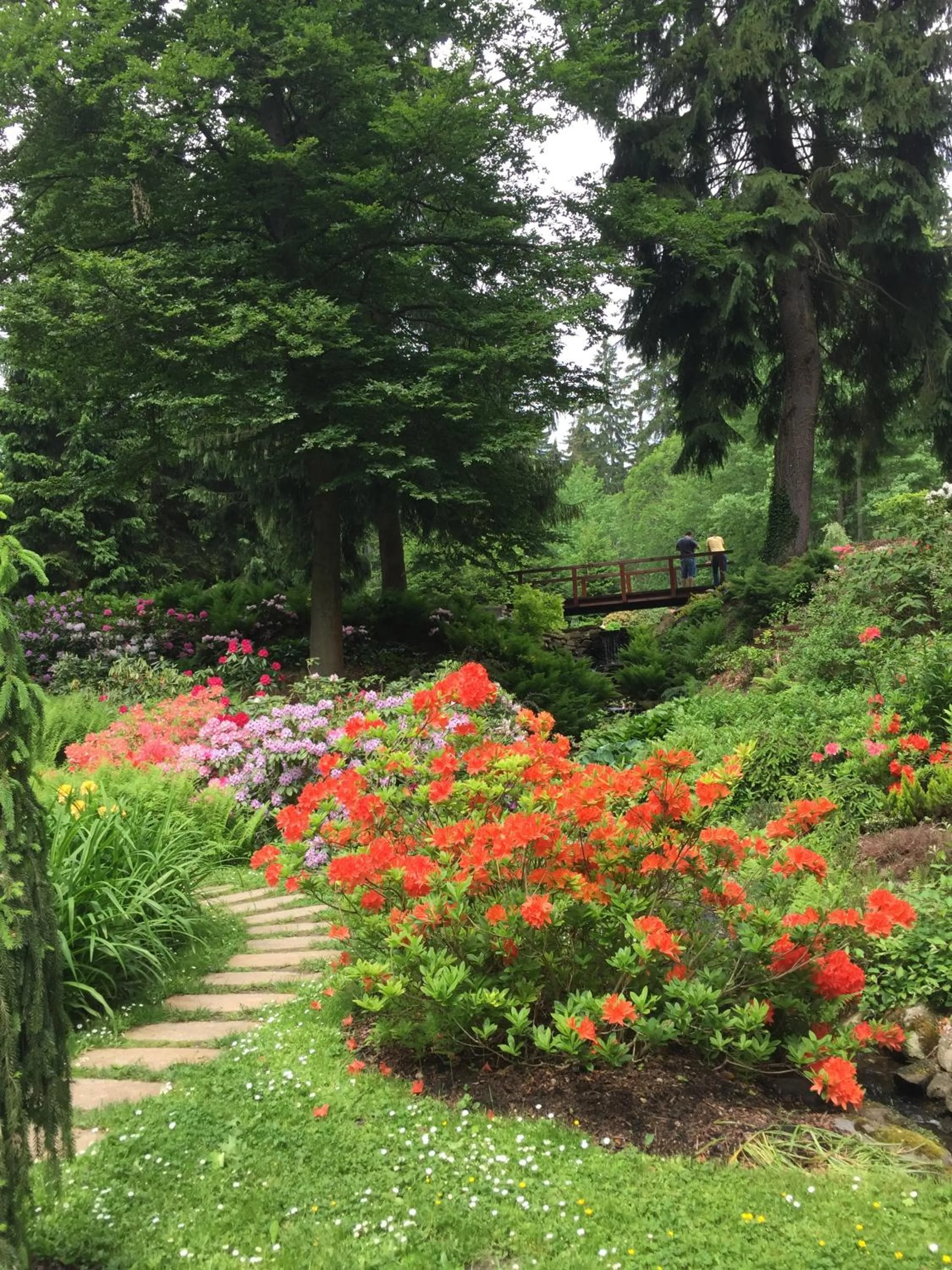 Garden in Spa & Wellness Hotel Harmonie