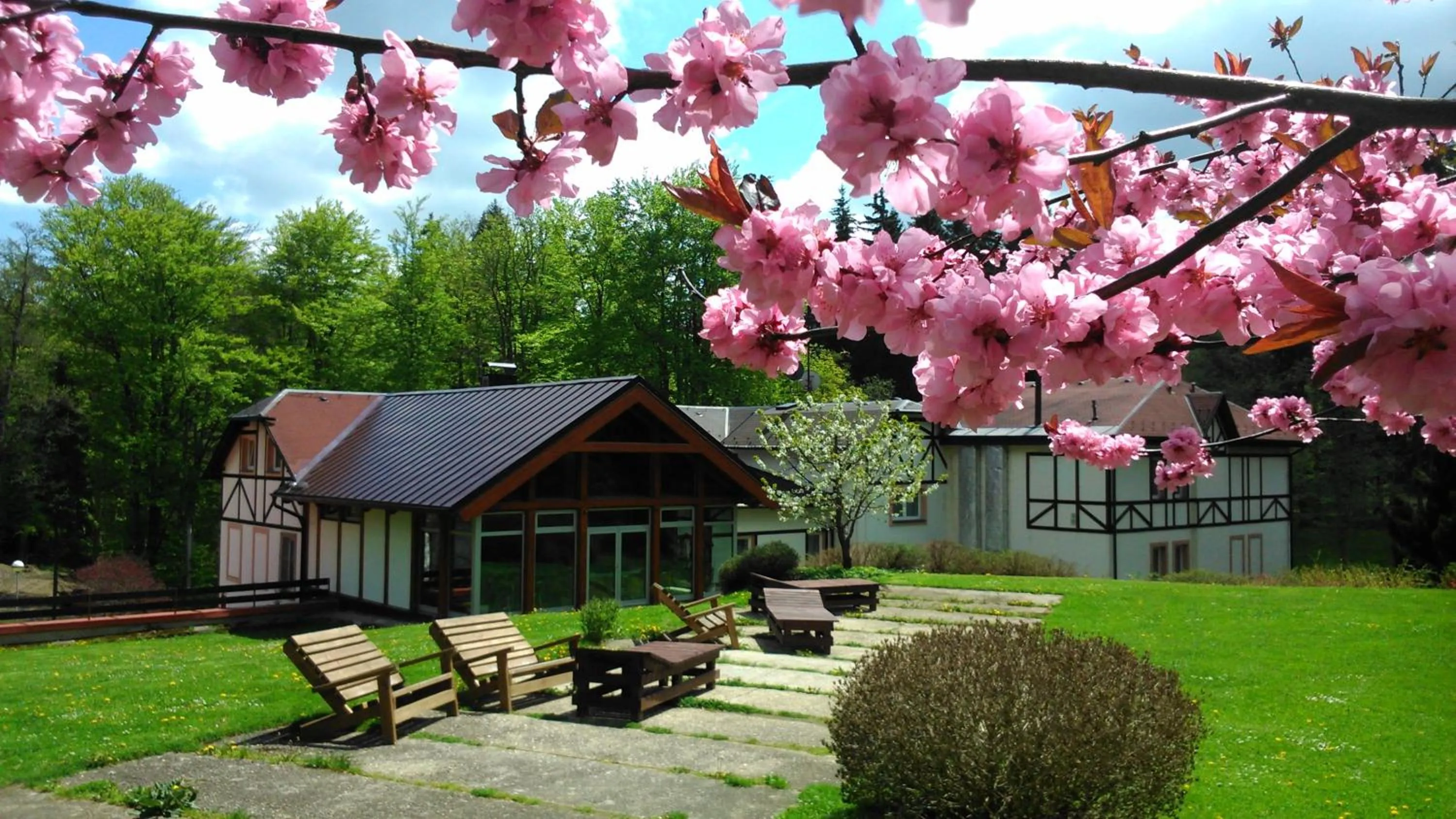 Spa and wellness centre/facilities in Spa & Wellness Hotel Harmonie