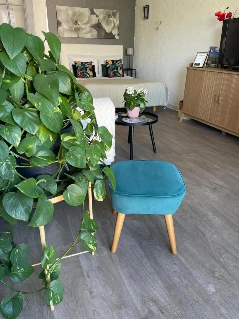 Le Clos Pichot - Studio avec balcon, parking privé - 5mn Gare