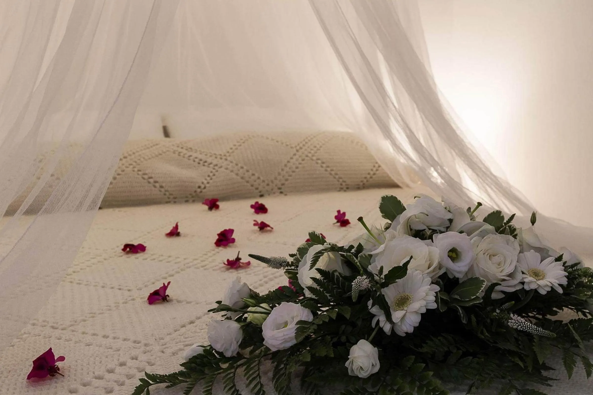 Bed in Sea Sound White Katikies