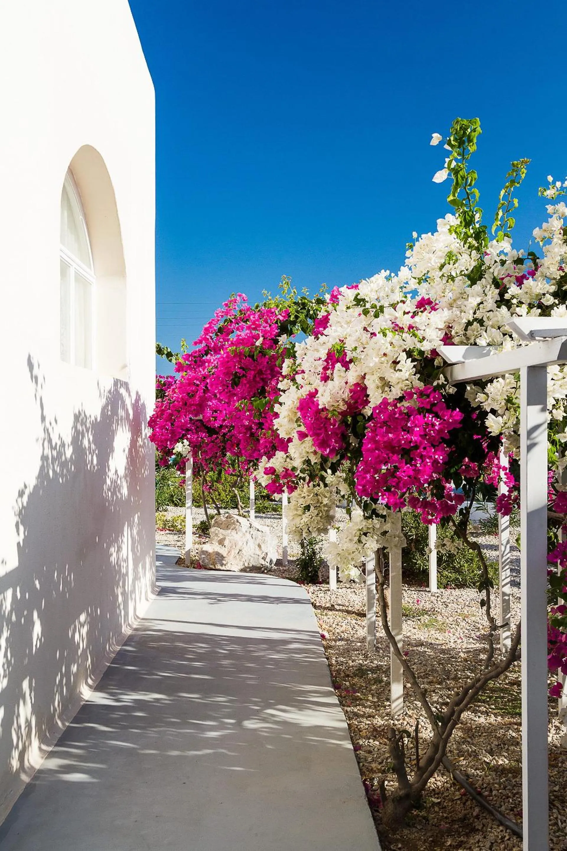 Garden in Sea Sound White Katikies