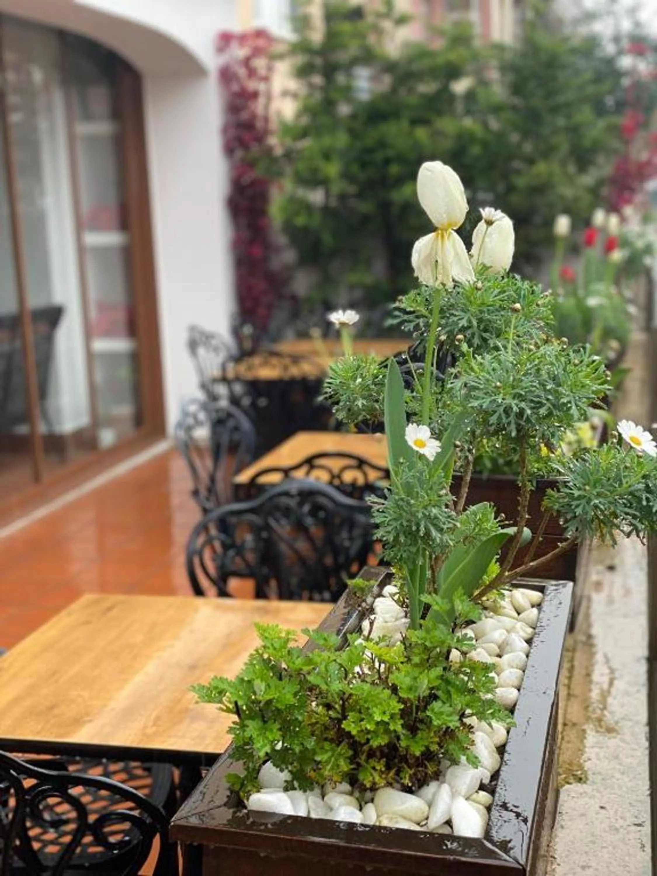 Property building in Blue Sea Hotel