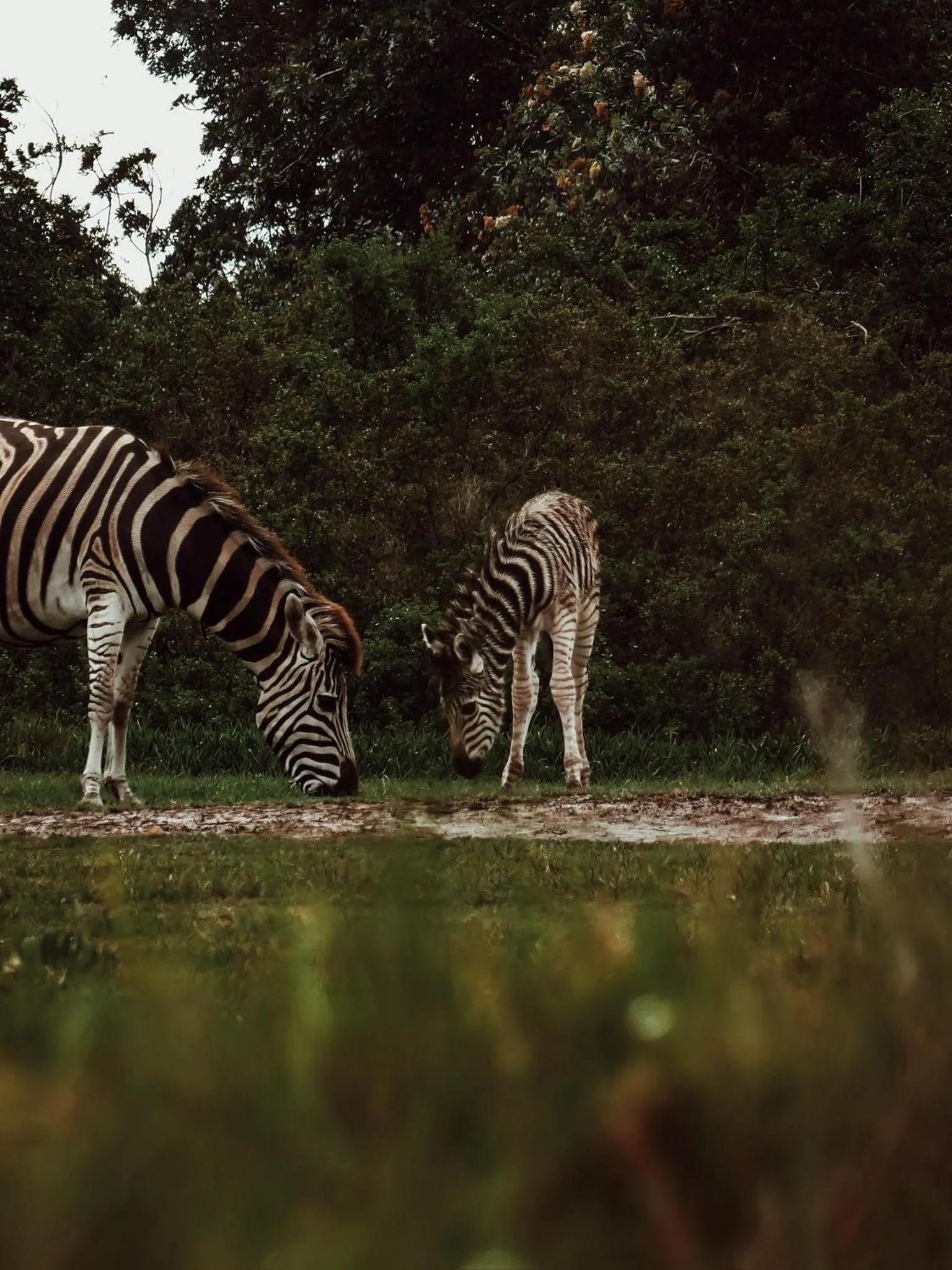 Day in Stanley Island
