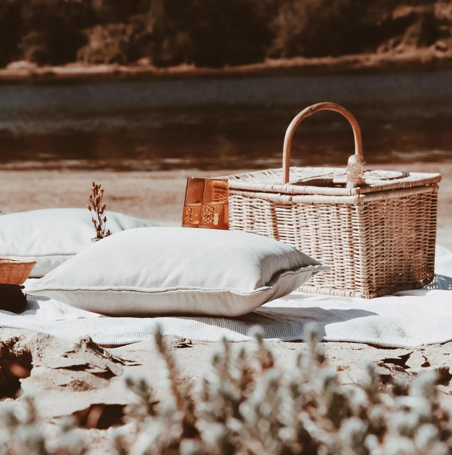 Garden in Stanley Island