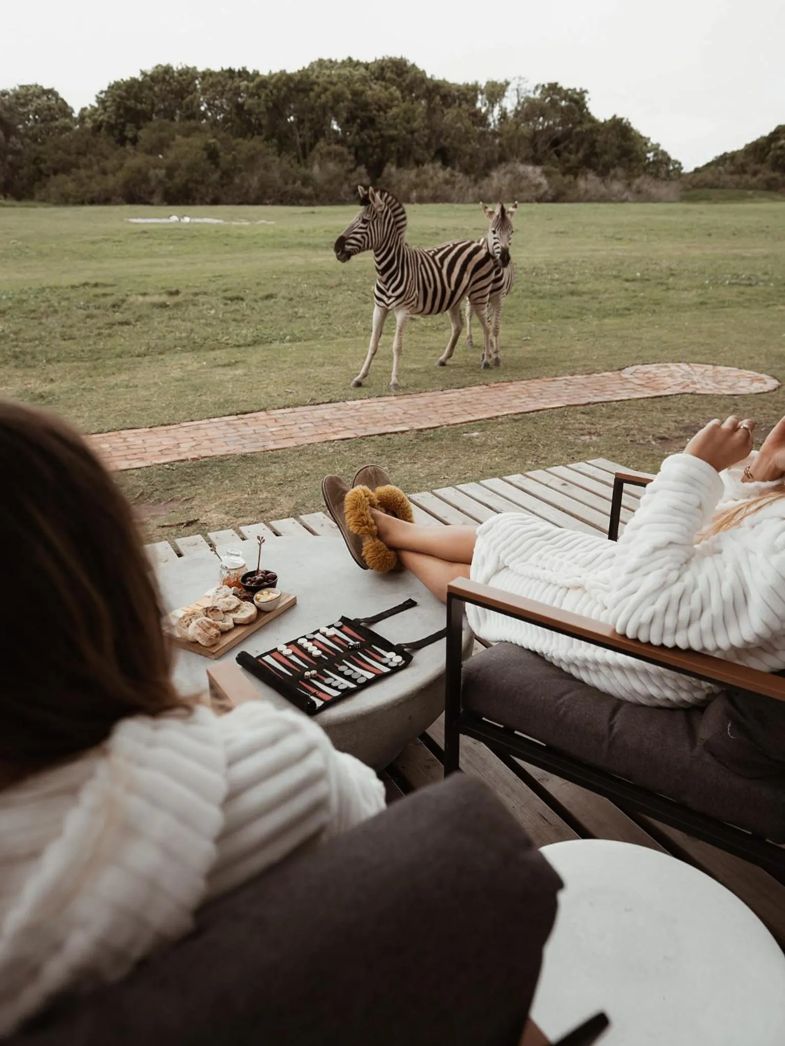 Animals in Stanley Island