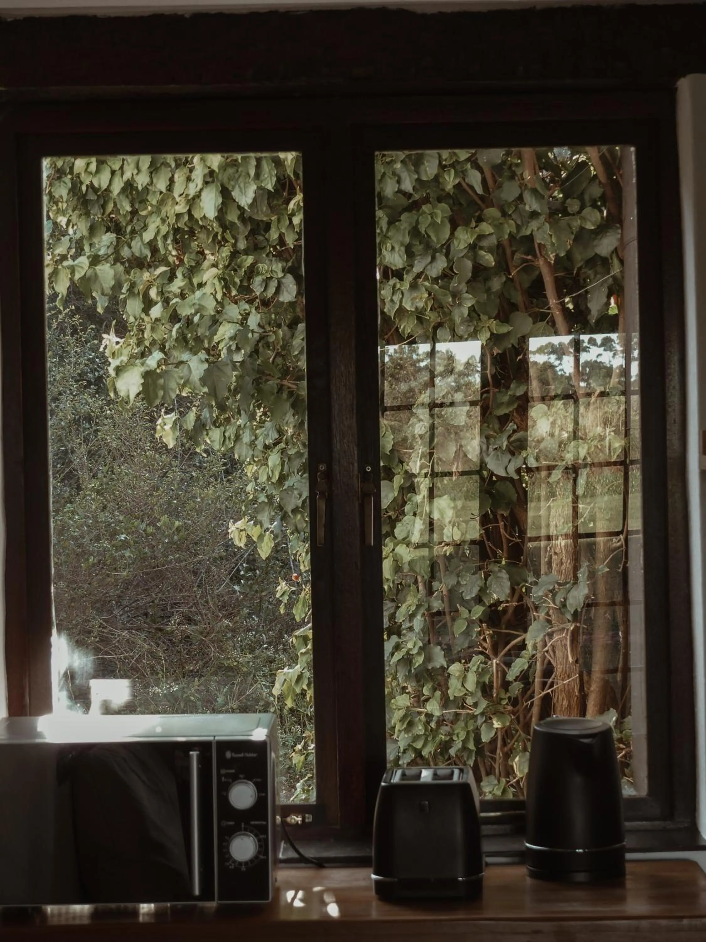 microwave in Stanley Island