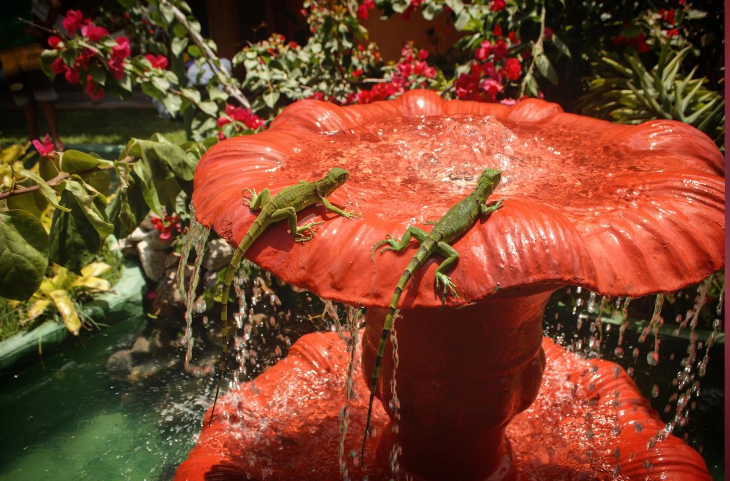 Patio in Naquela Jericoacoara