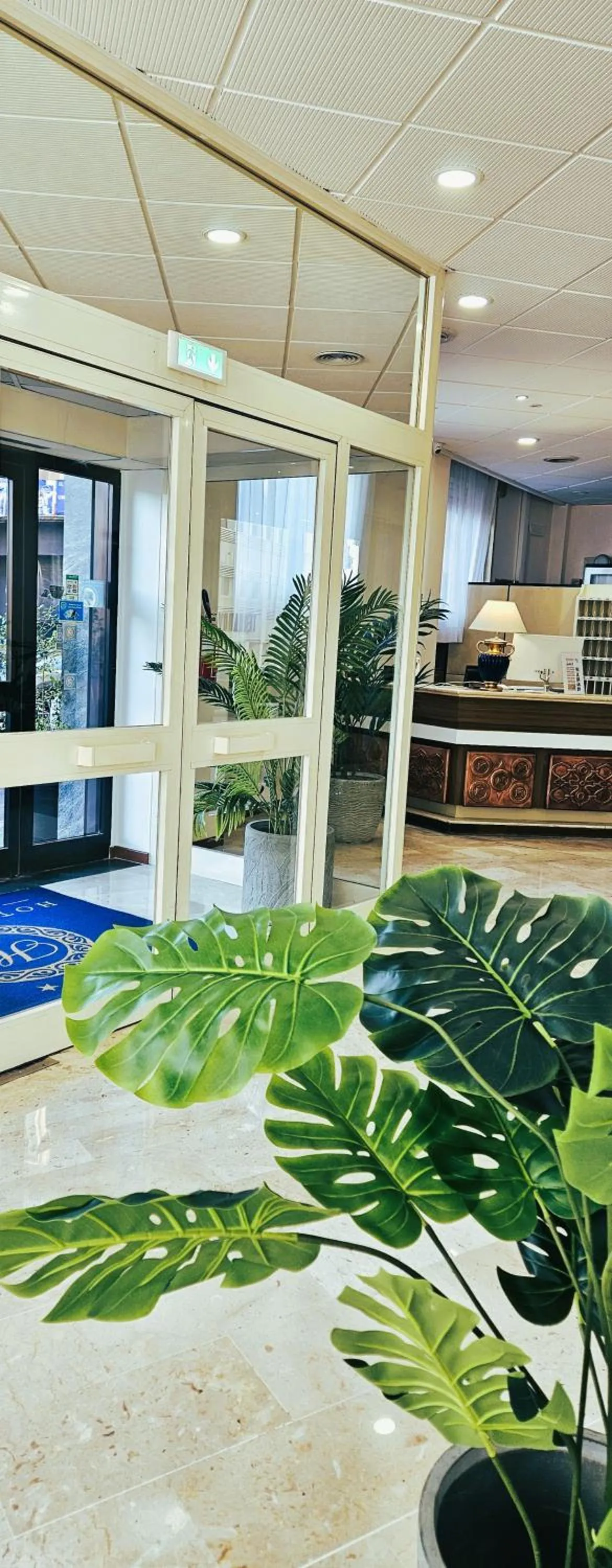 Hotel Palace Masoanri's