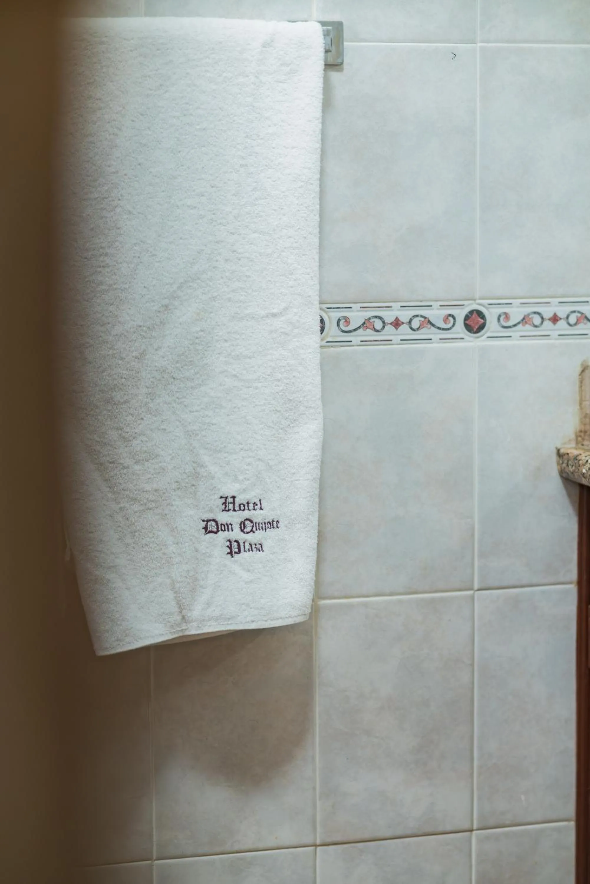 Hotel Don Quijote Plaza - Guadalajara Centro Historico