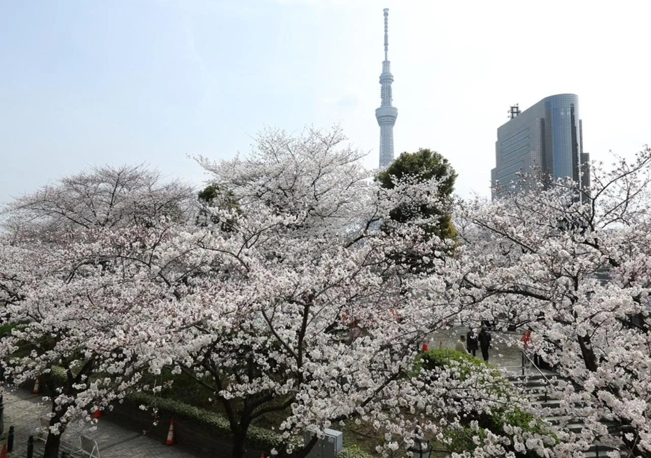 Other in Dormy Inn EXPRESS Asakusa