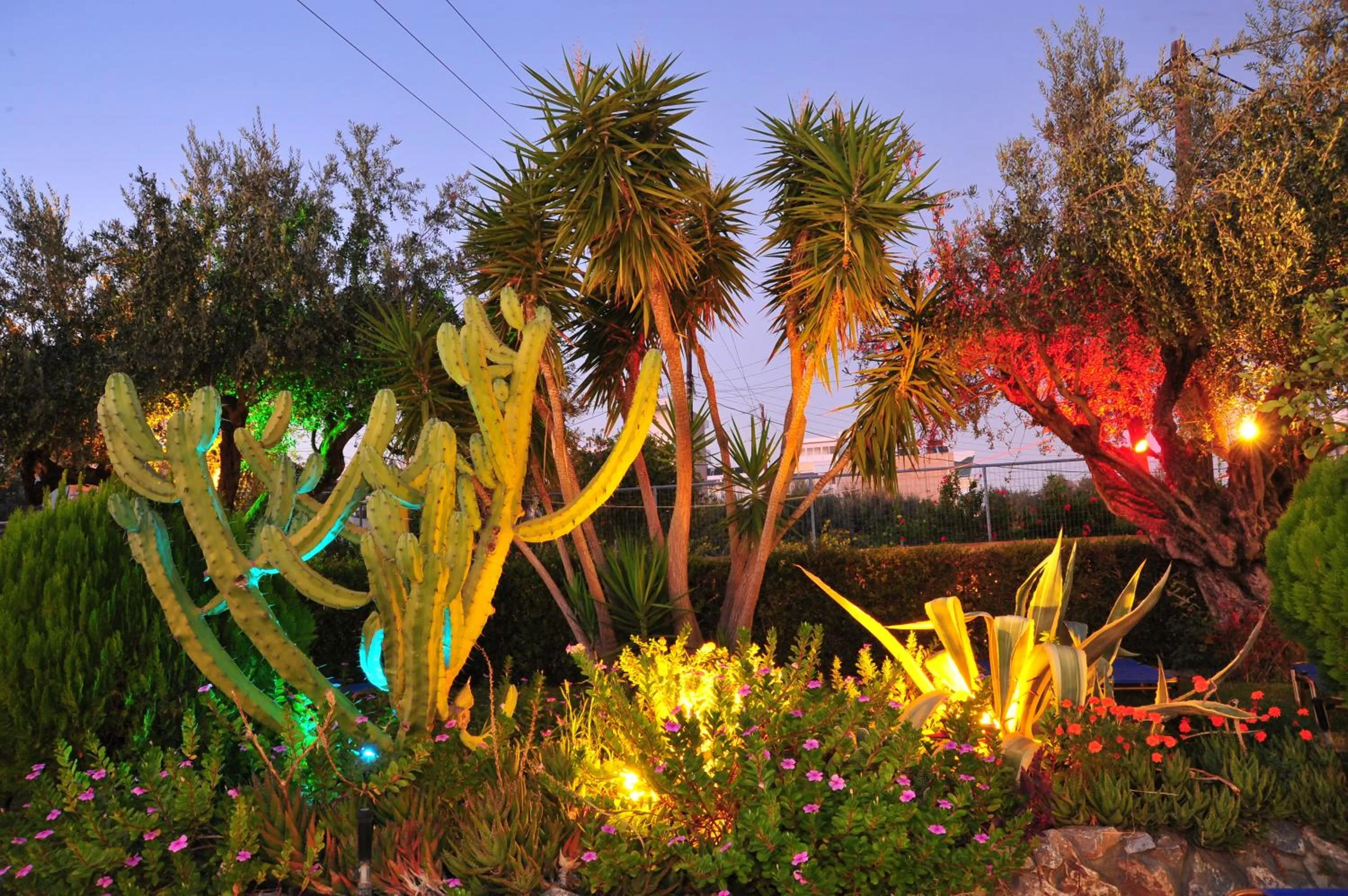 Garden in Argiro Village