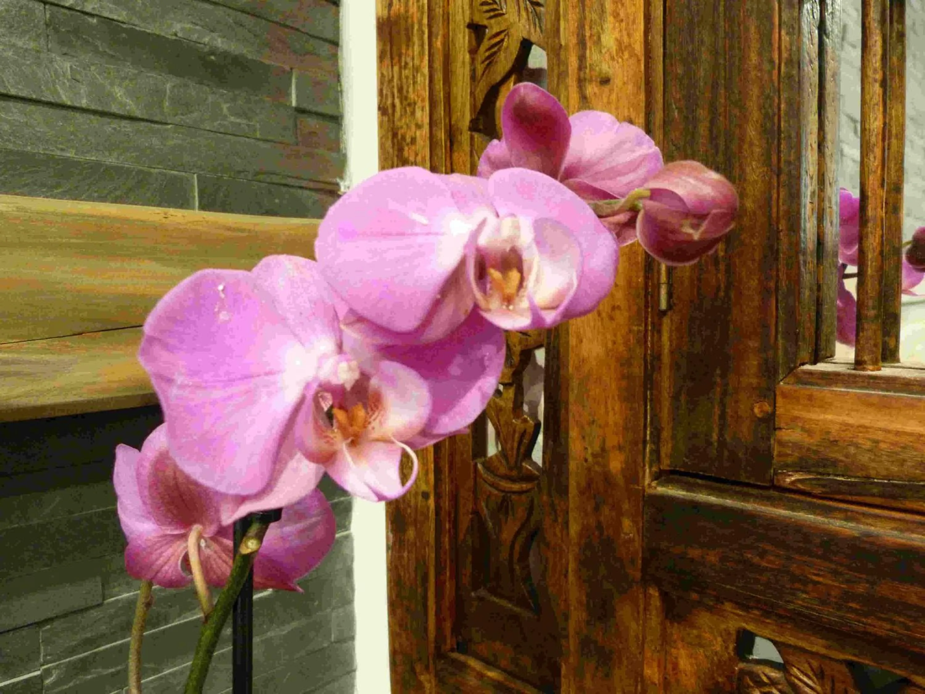 Decorative detail in Les Bambous B&B
