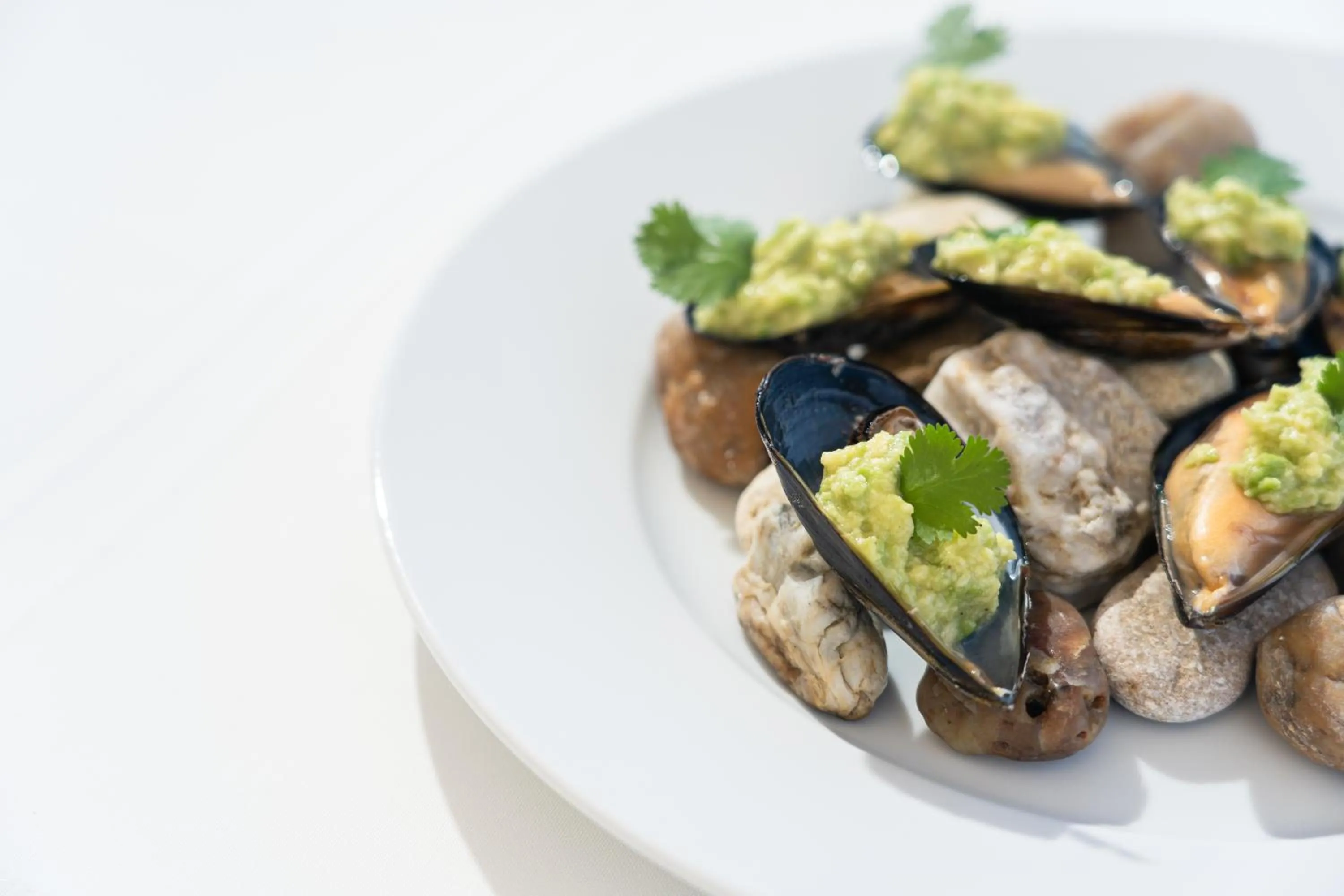 Food and drinks in White Suites Resort- Adults Only Hotel