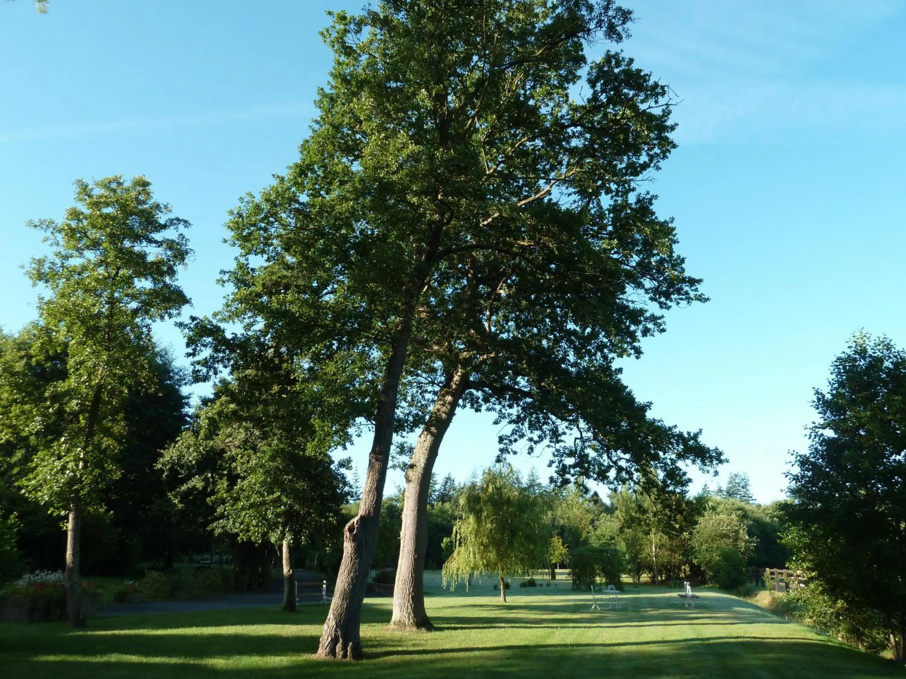 Garden in Domaine De La Tour