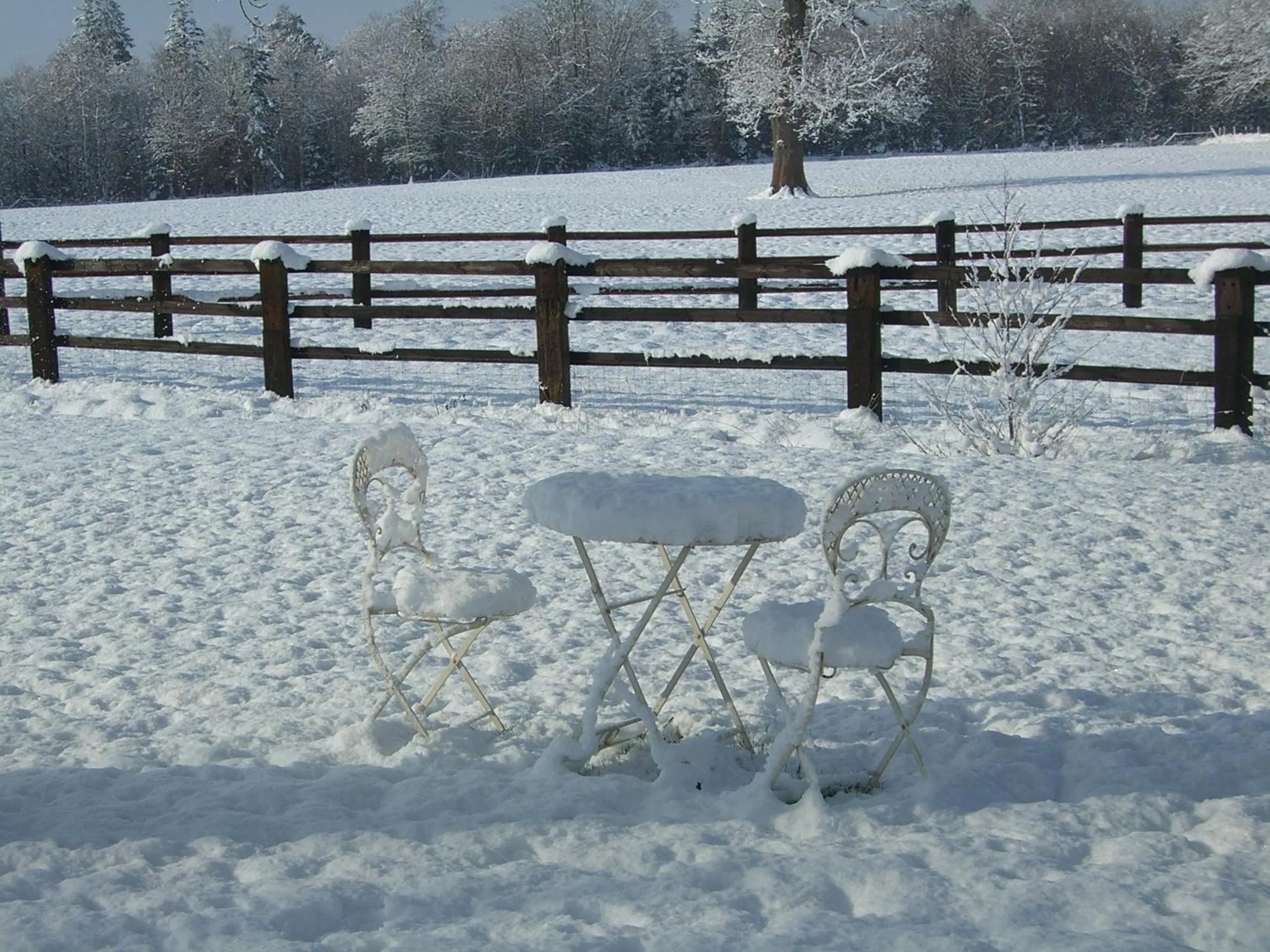 Garden in Domaine De La Tour