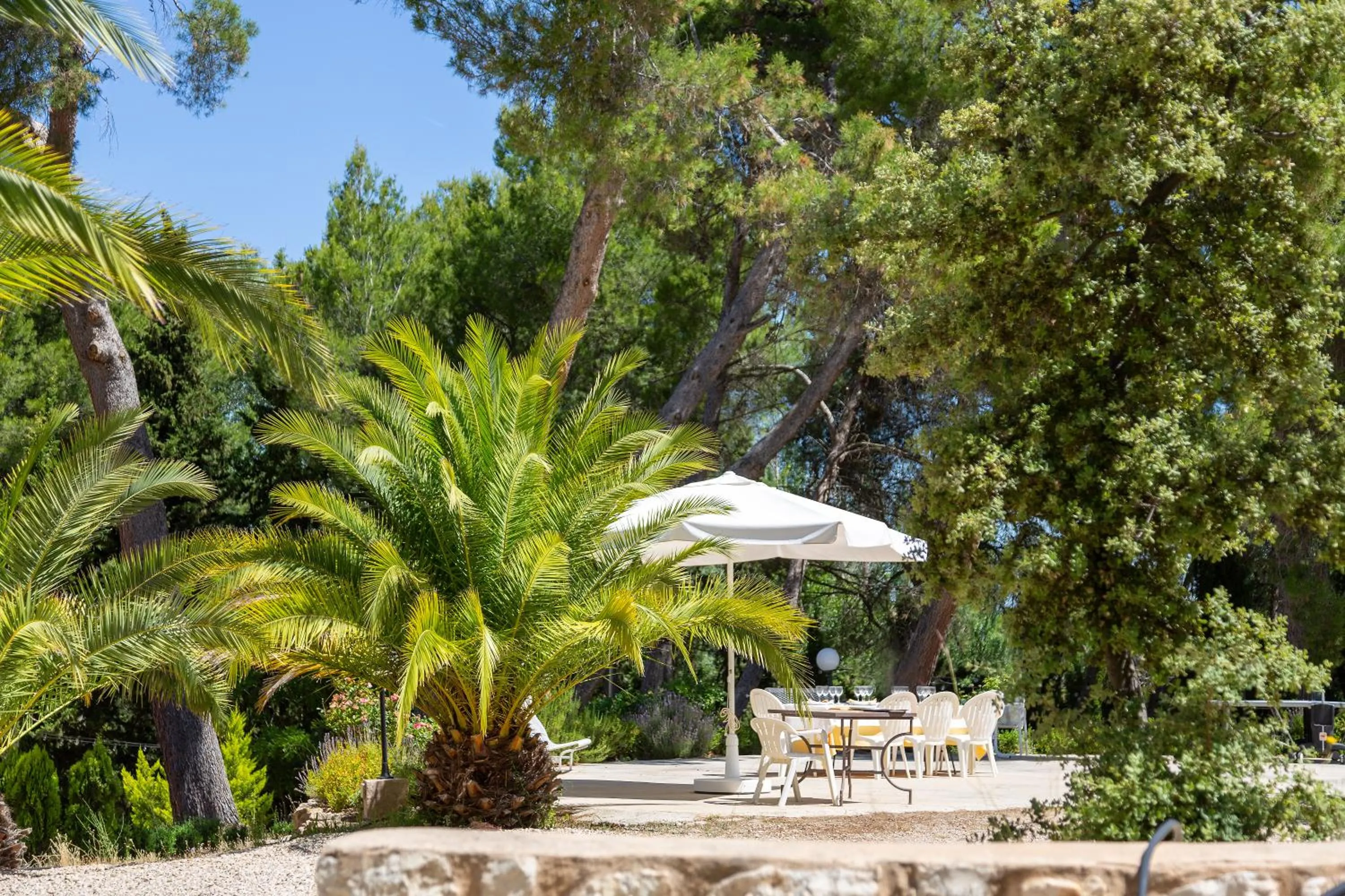 Garden in Hotel Rural Mas Fontanelles