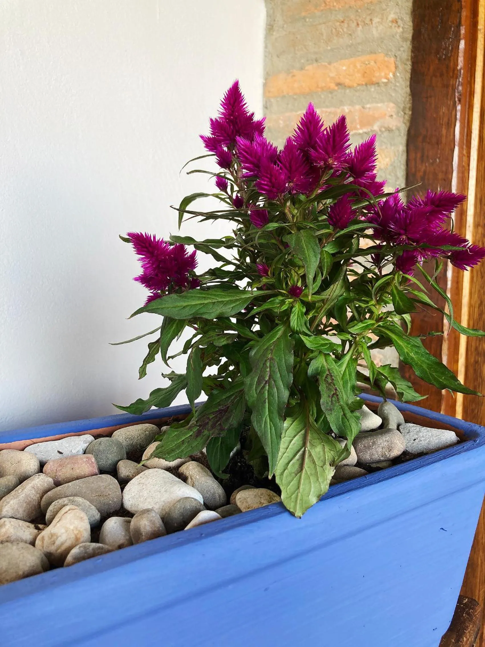 Decorative detail in Posada La Casona de Los Güelitos