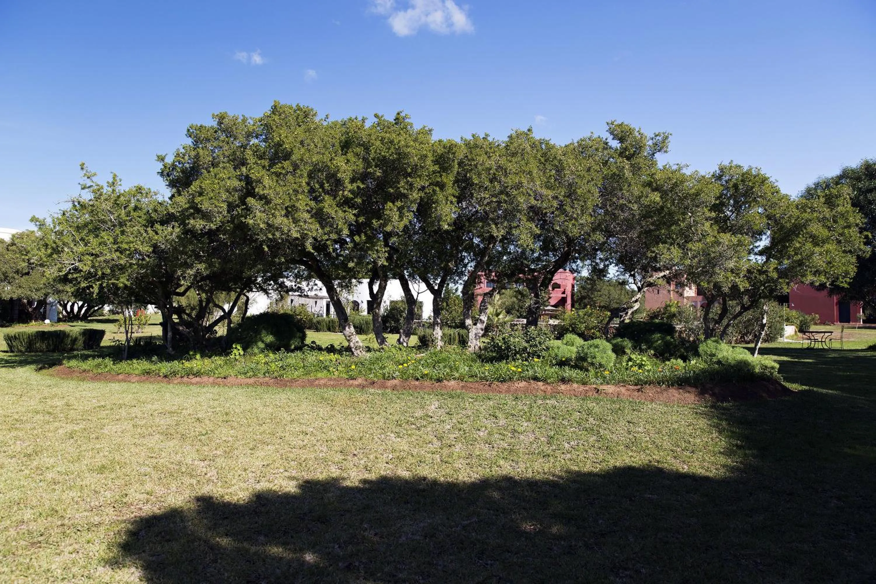 Day in Domaine de l'Arganeraie