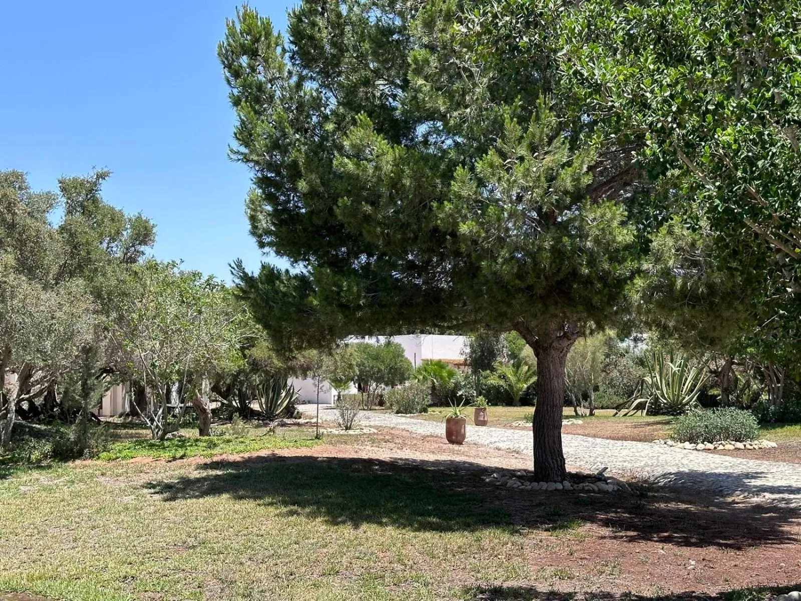 Domaine de l'Arganeraie