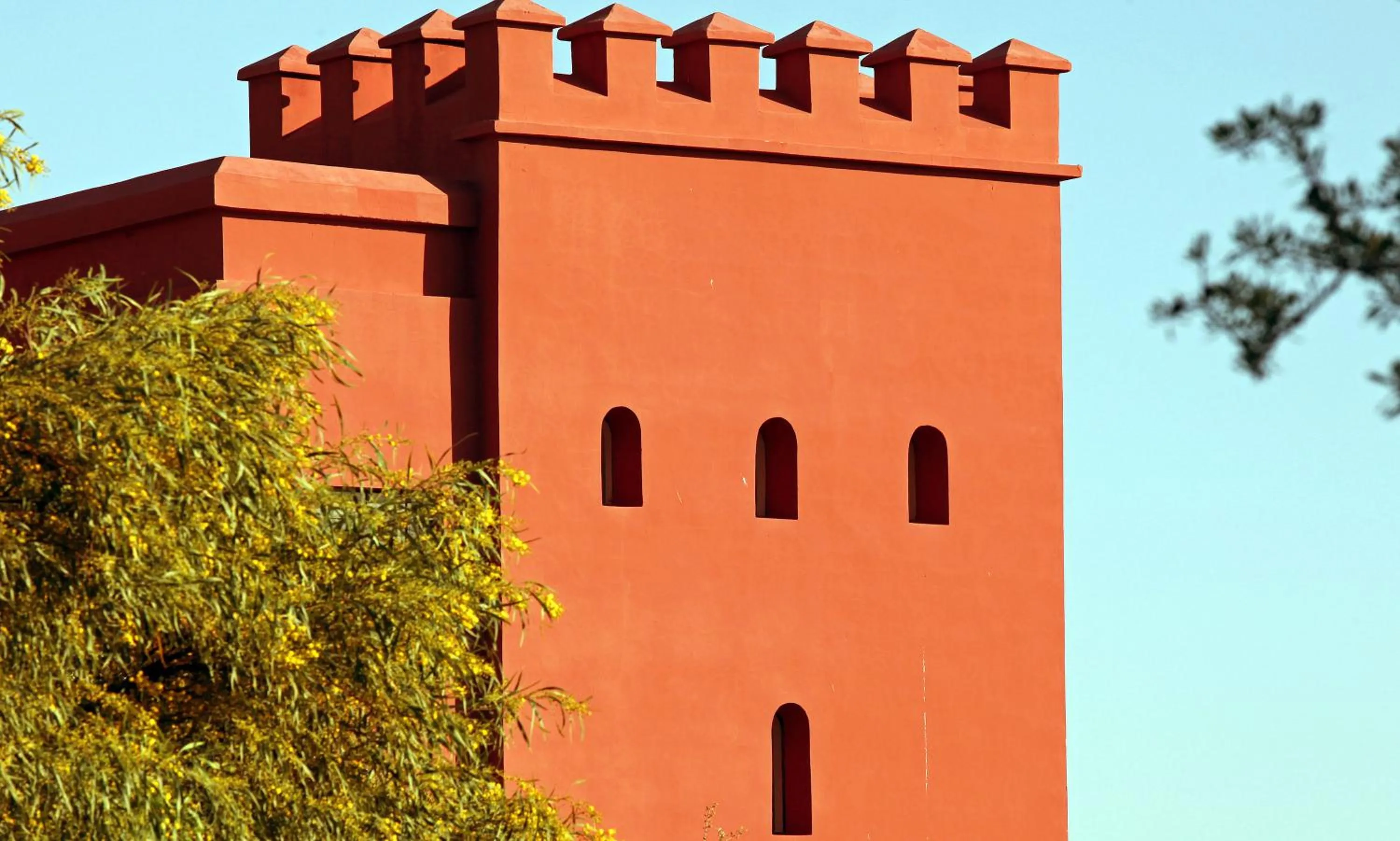 Decorative detail in Domaine de l'Arganeraie
