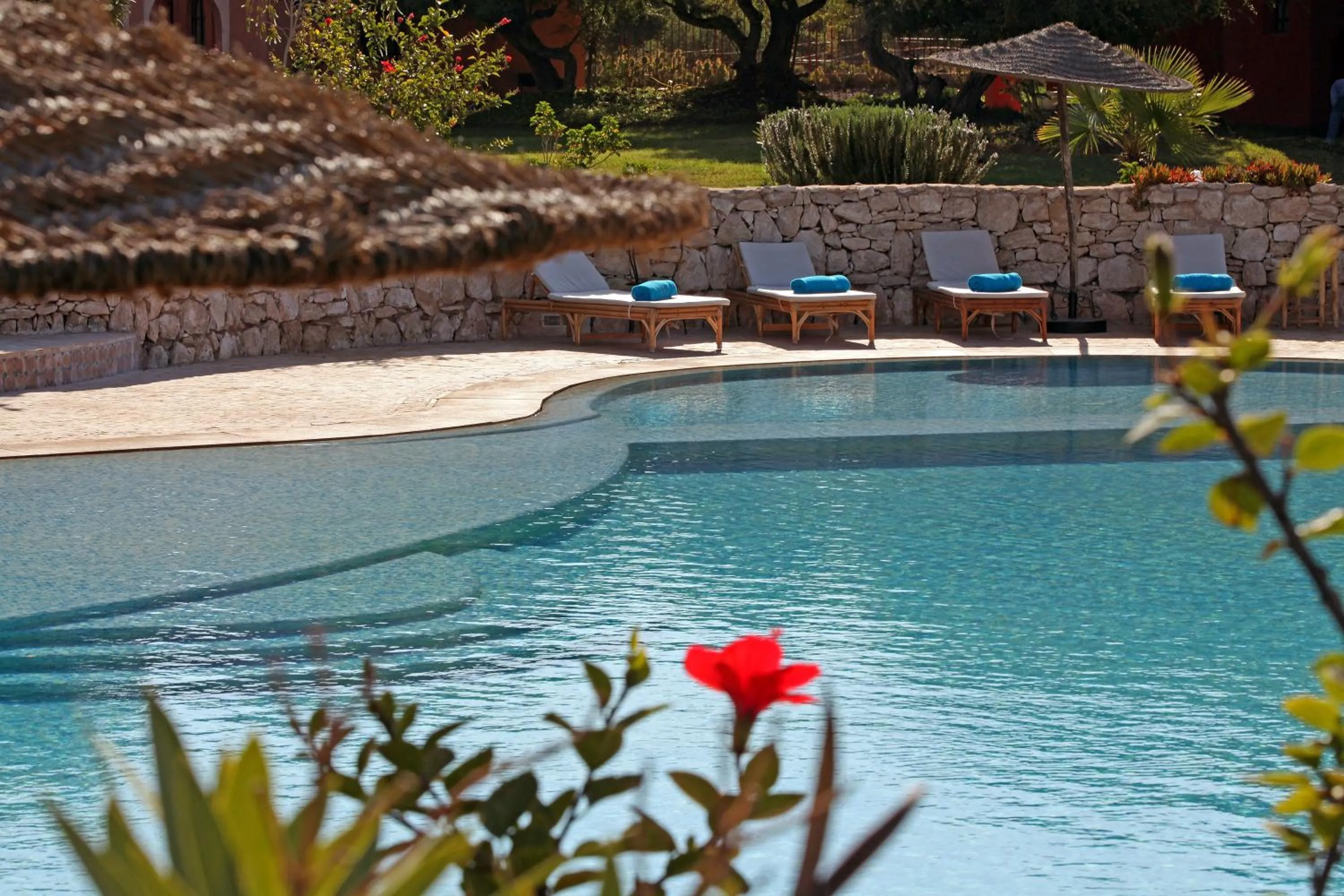 Restaurant/places to eat in Domaine de l'Arganeraie