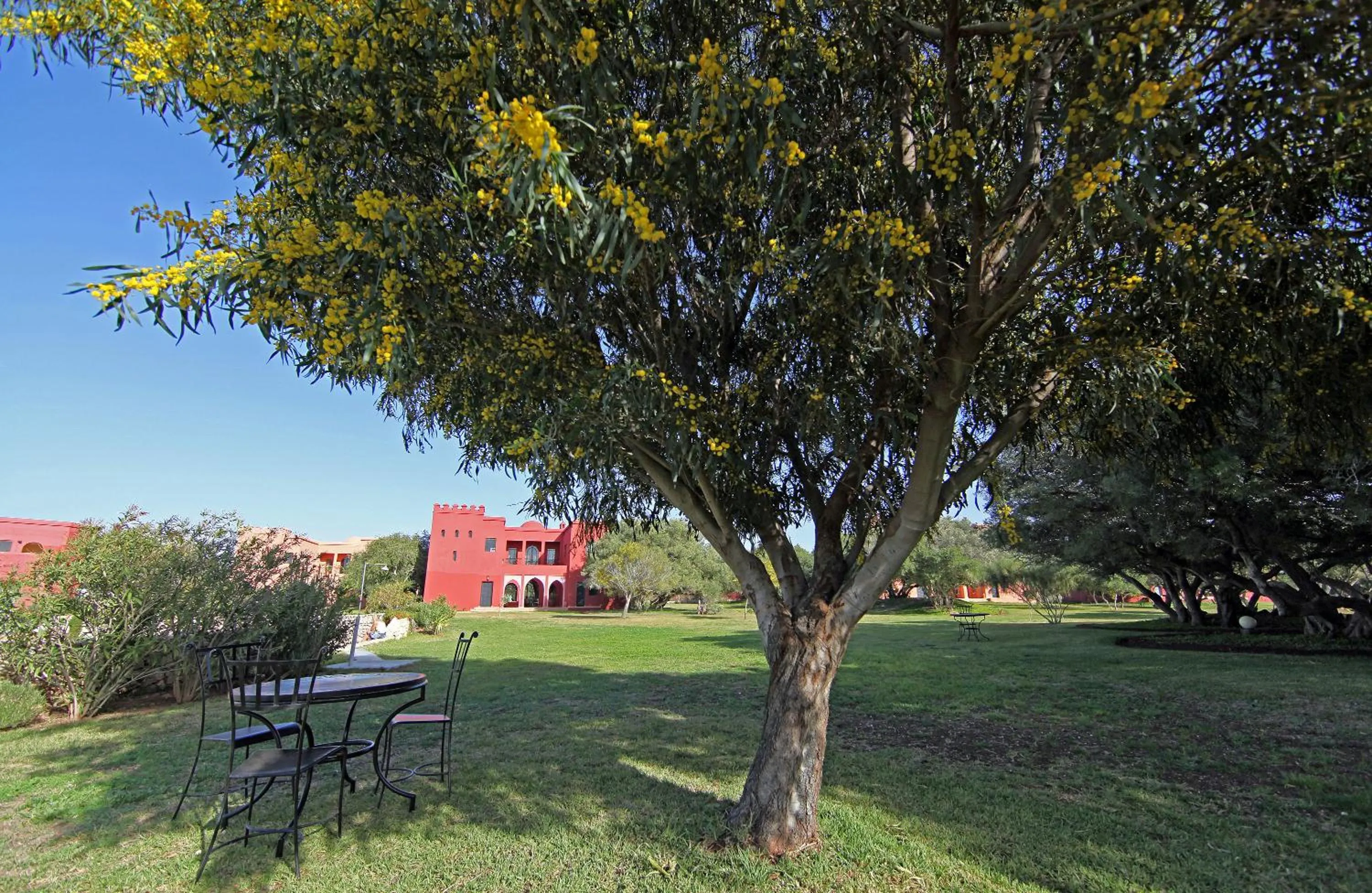 Garden in Domaine de l'Arganeraie