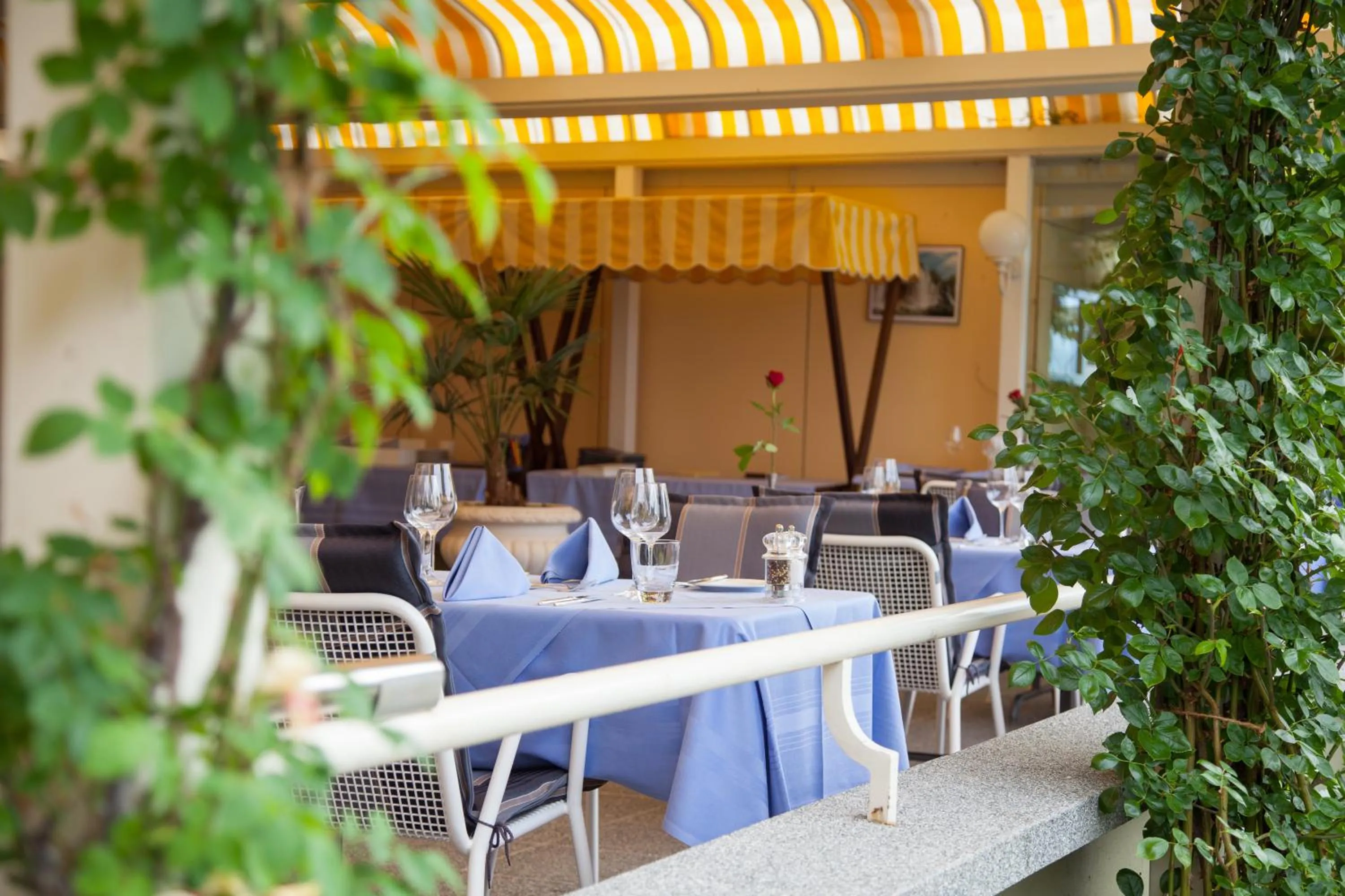 Restaurant/places to eat in Hotel Beau Rivage Weggis