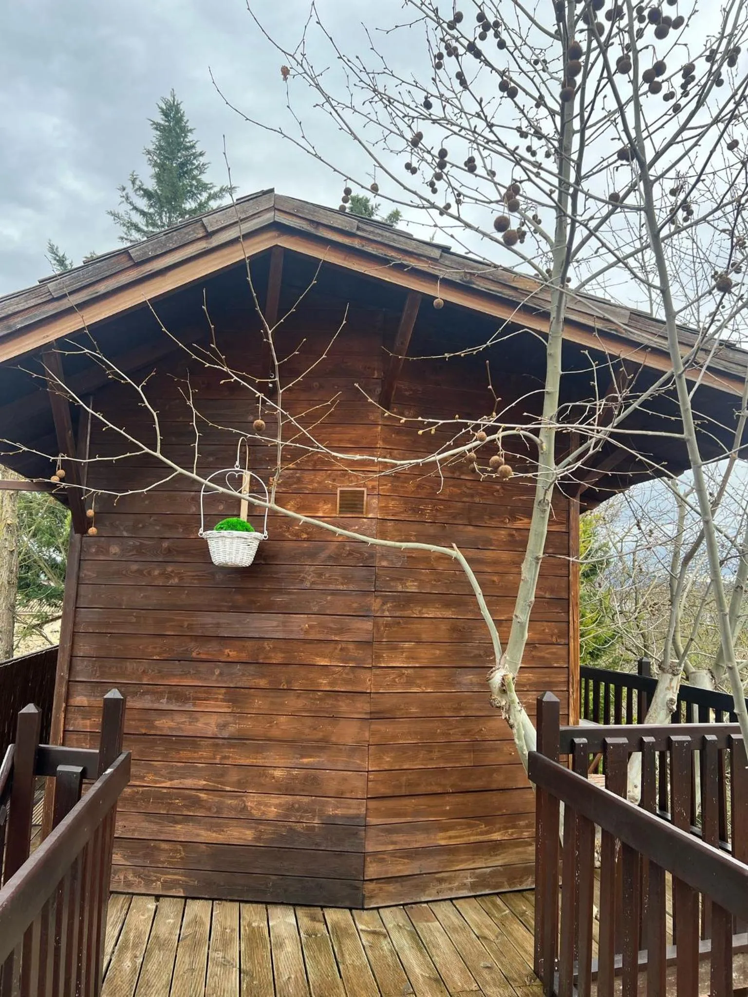 Balcony/Terrace in Hotel Jakue