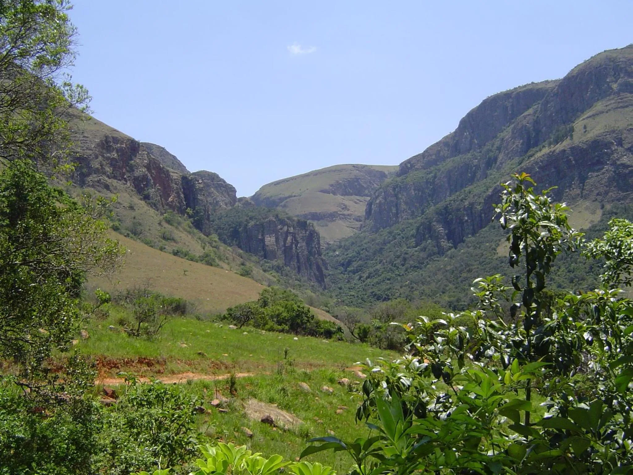 Restaurant/places to eat in Forest Creek Lodge & Spa