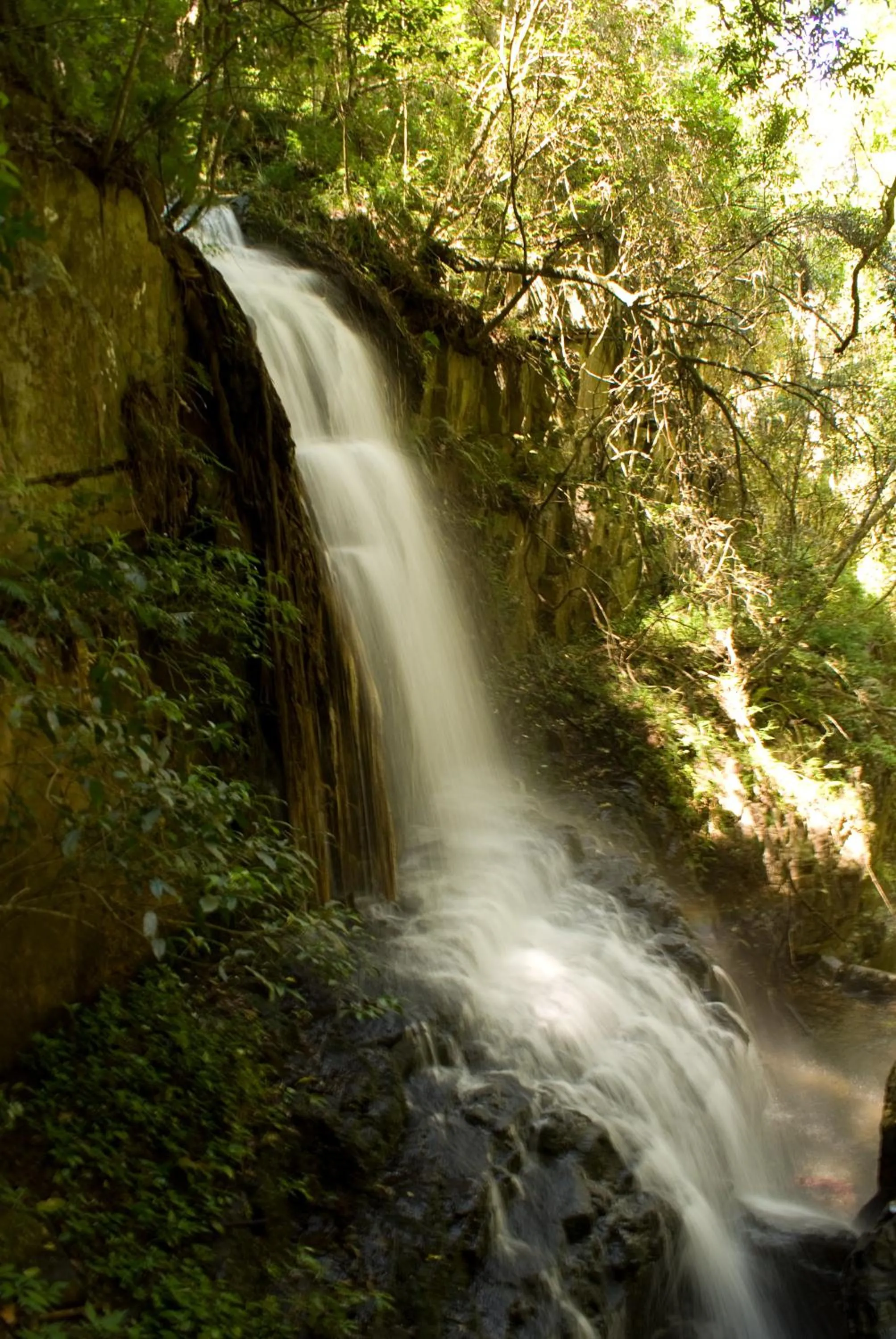 Hiking in Forest Creek Lodge & Spa