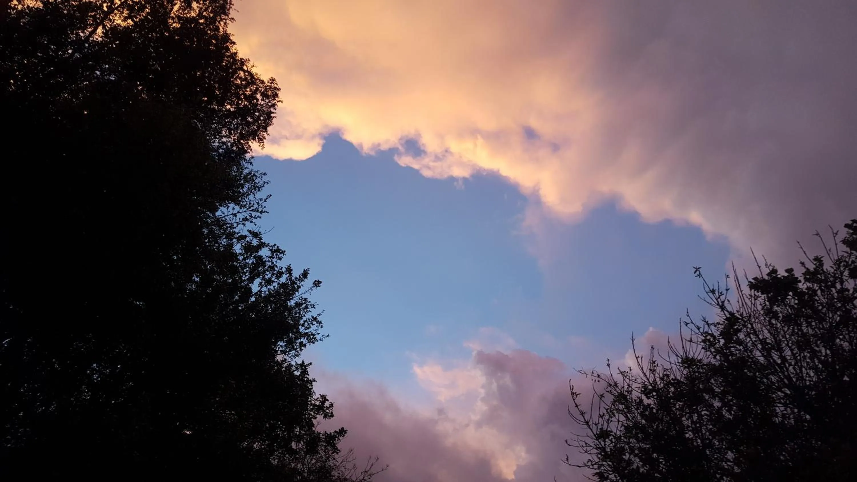 Mountain view in Forest Creek Lodge & Spa