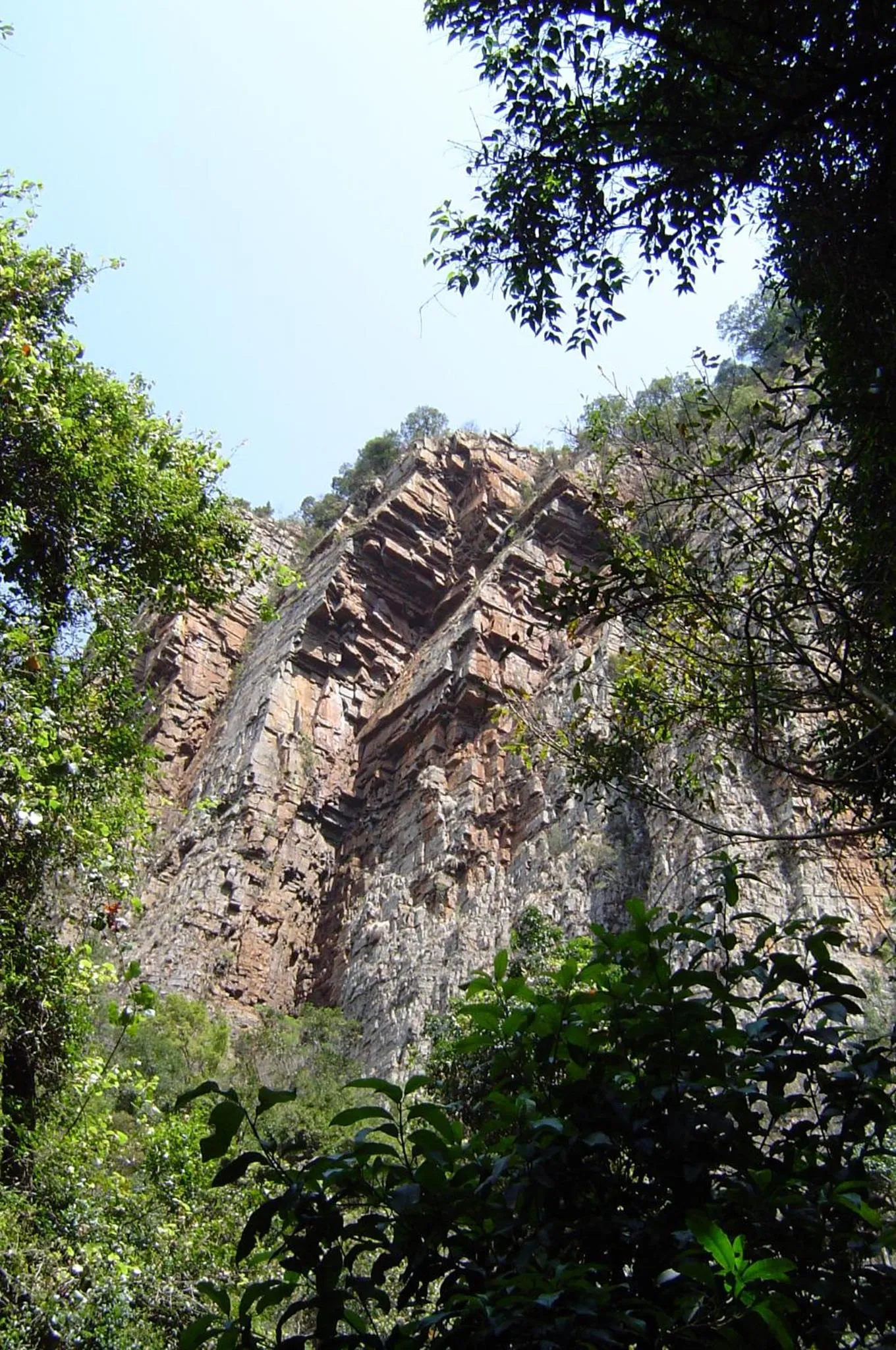 Natural landscape in Forest Creek Lodge & Spa