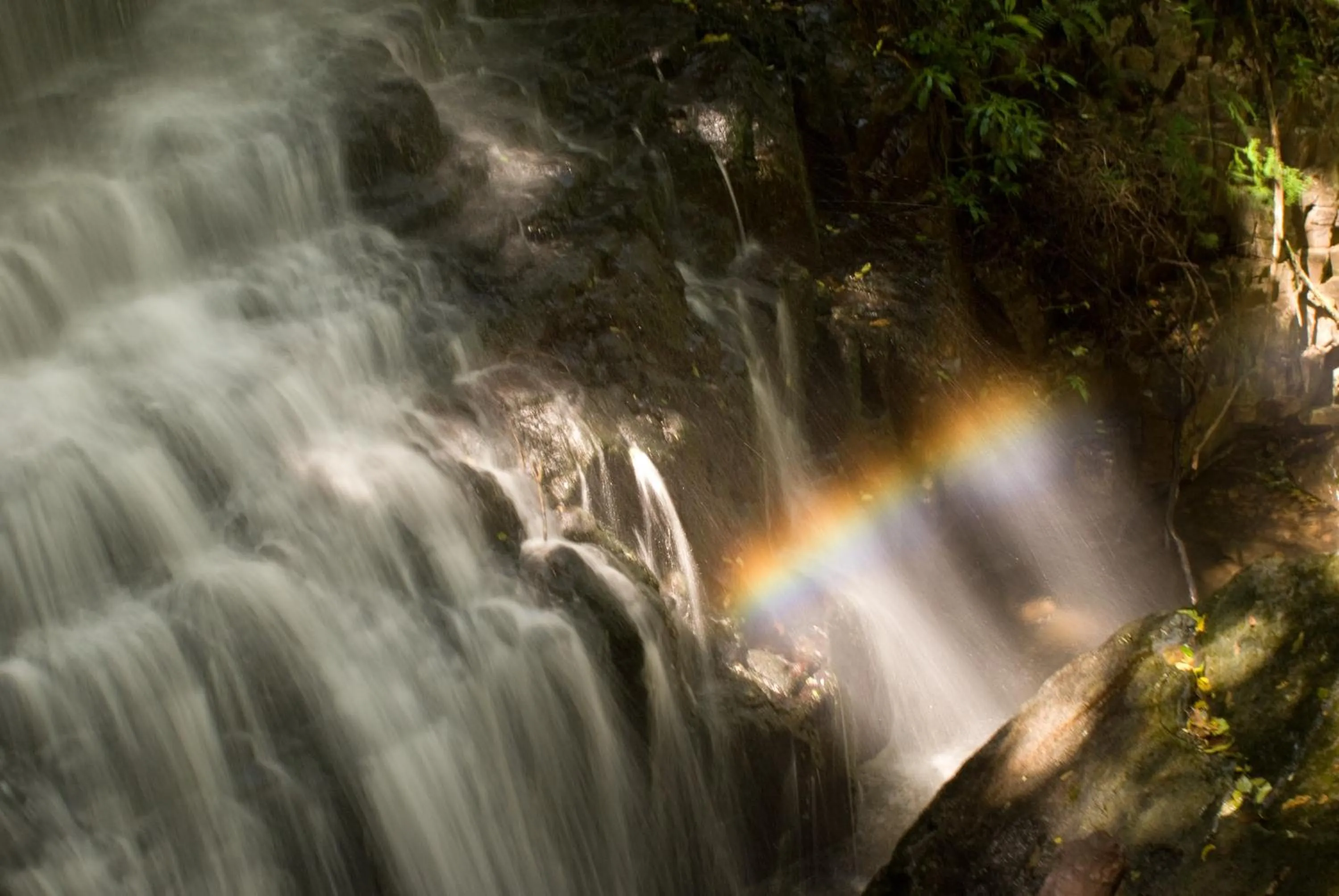 Hiking in Forest Creek Lodge & Spa
