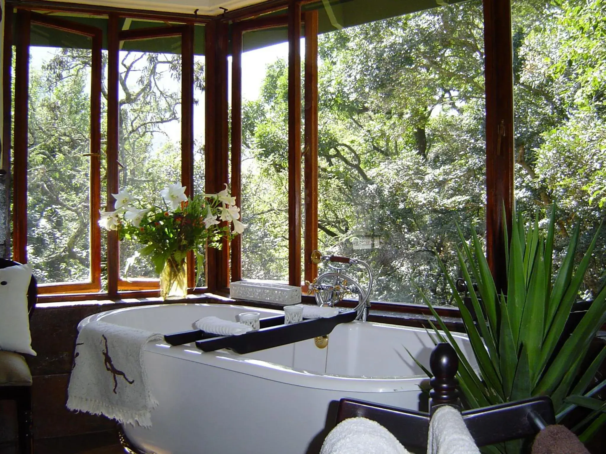 Narina Luxury Suite in Forest Creek Lodge & Spa Narina Luxury Suite in Forest Creek Lodge & Spa