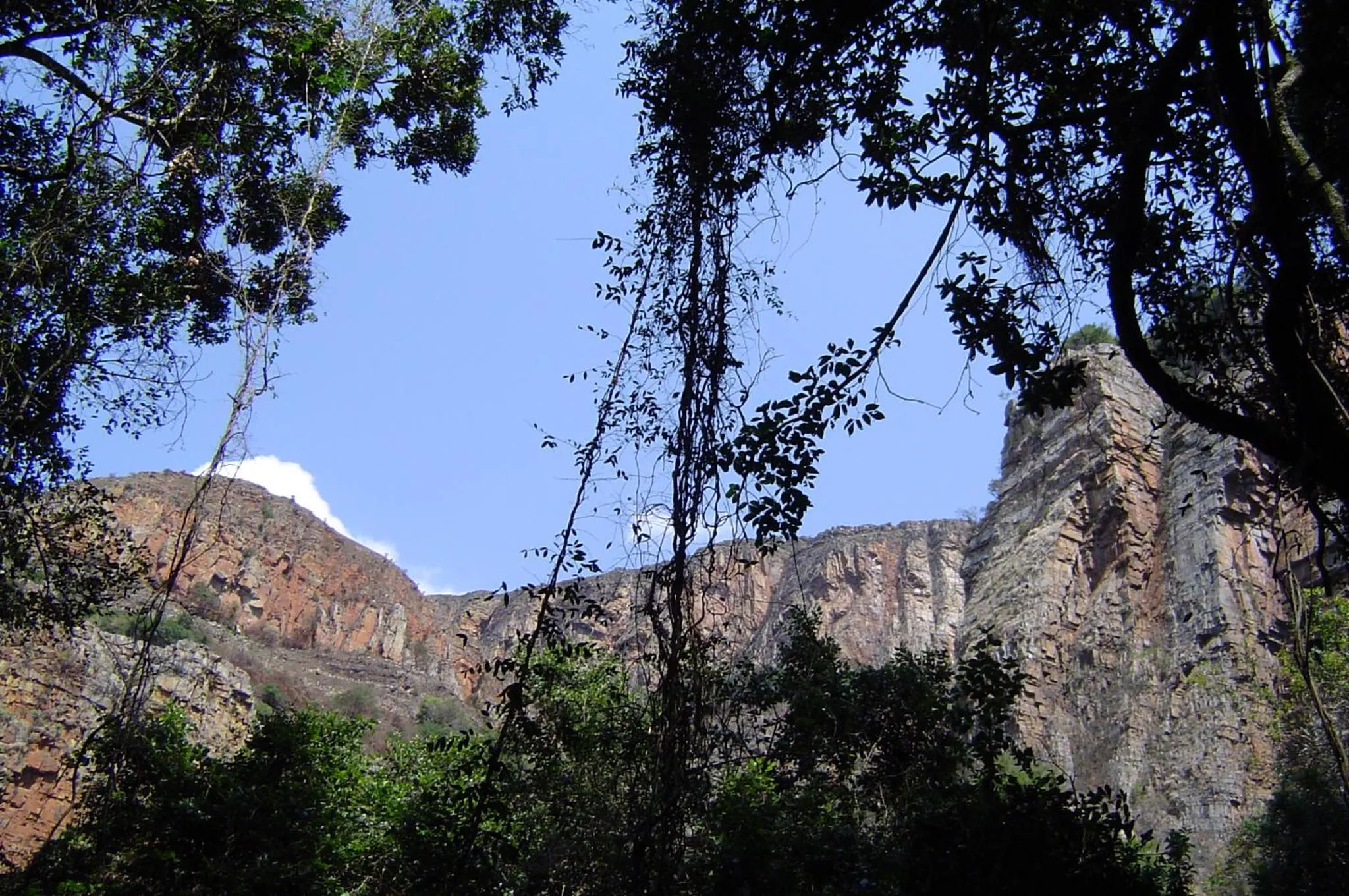 Hiking in Forest Creek Lodge & Spa