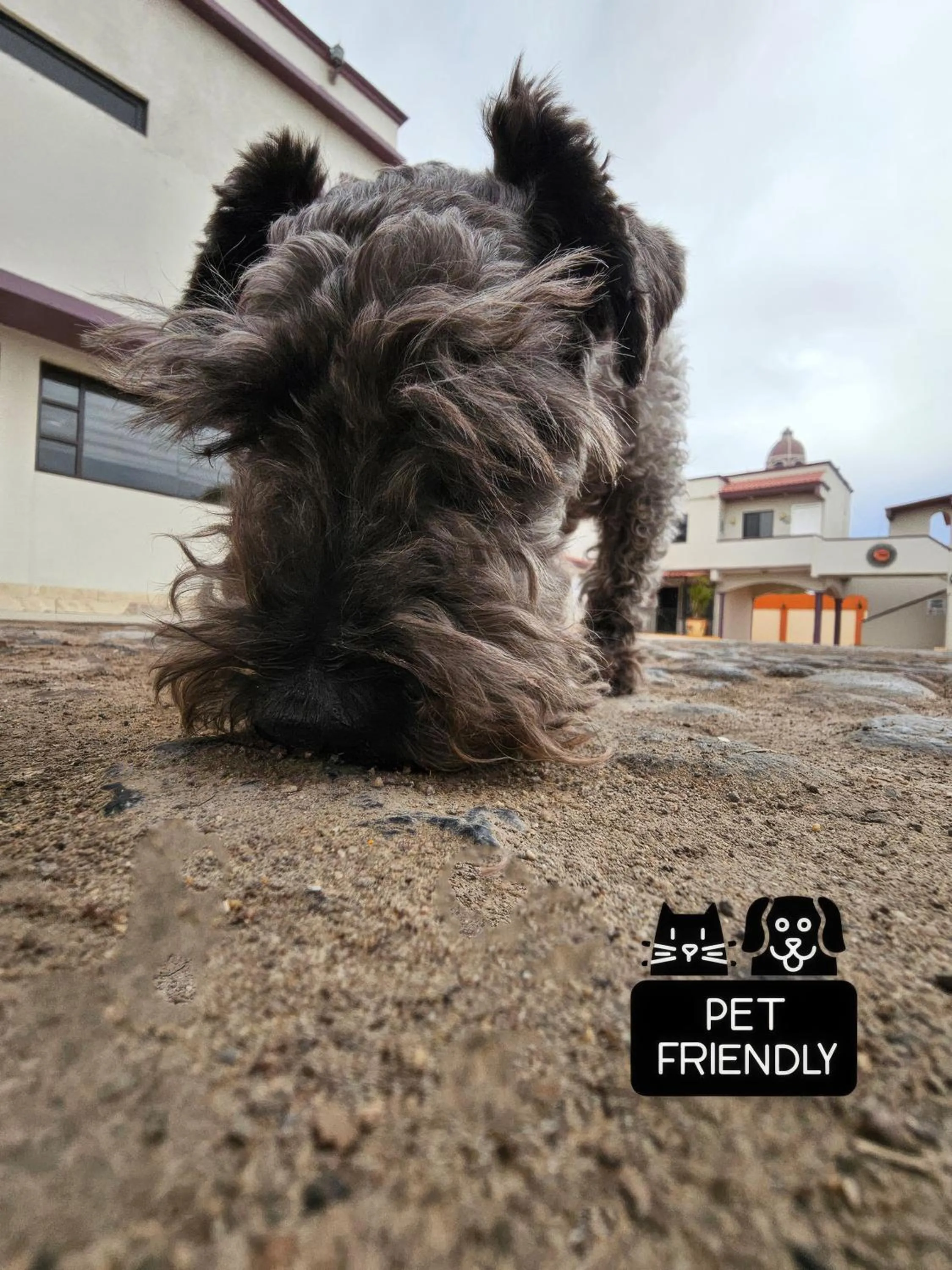 Property building in Hotel Oasis