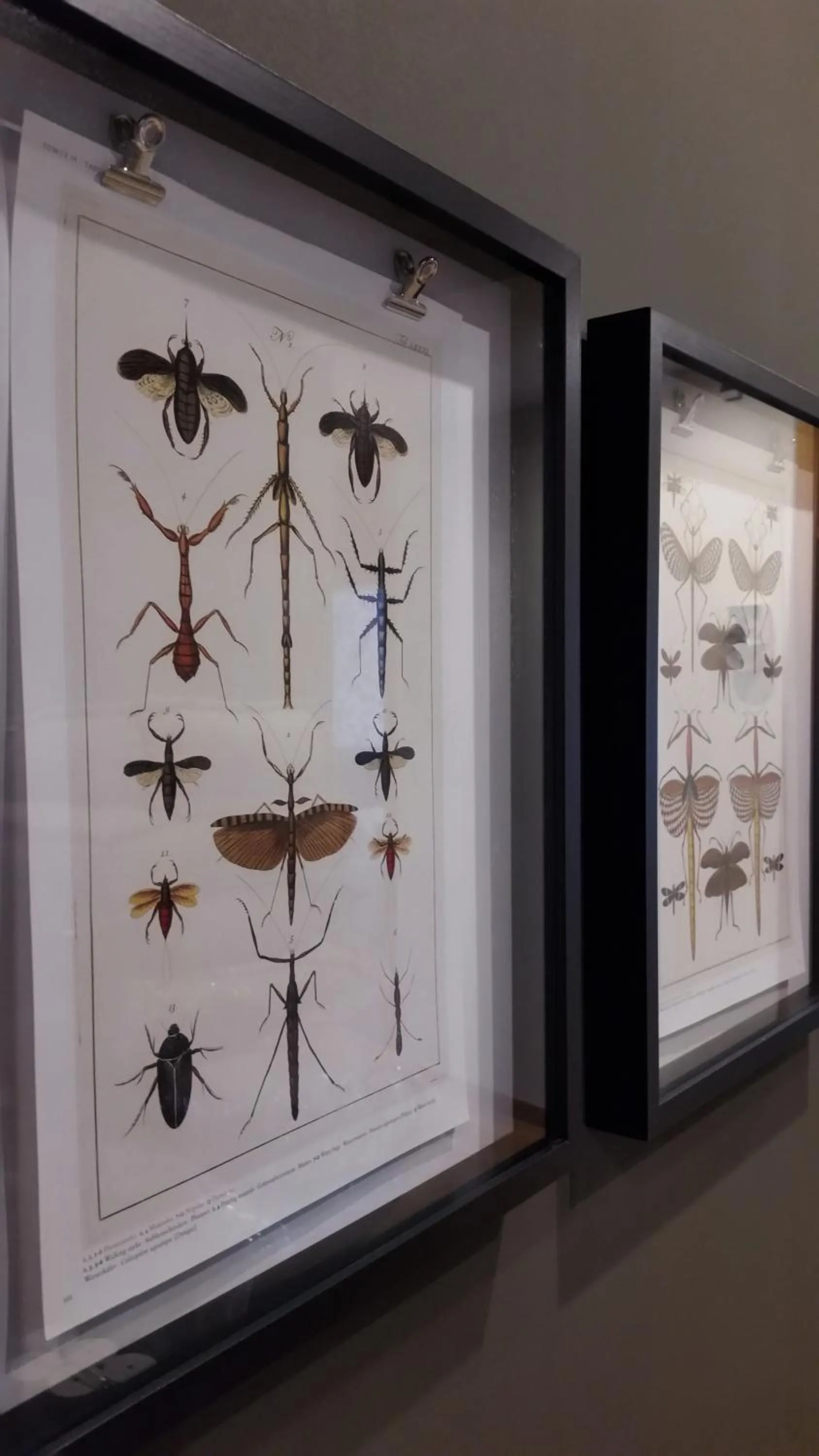 Lisbon Garden Boutique Guest House