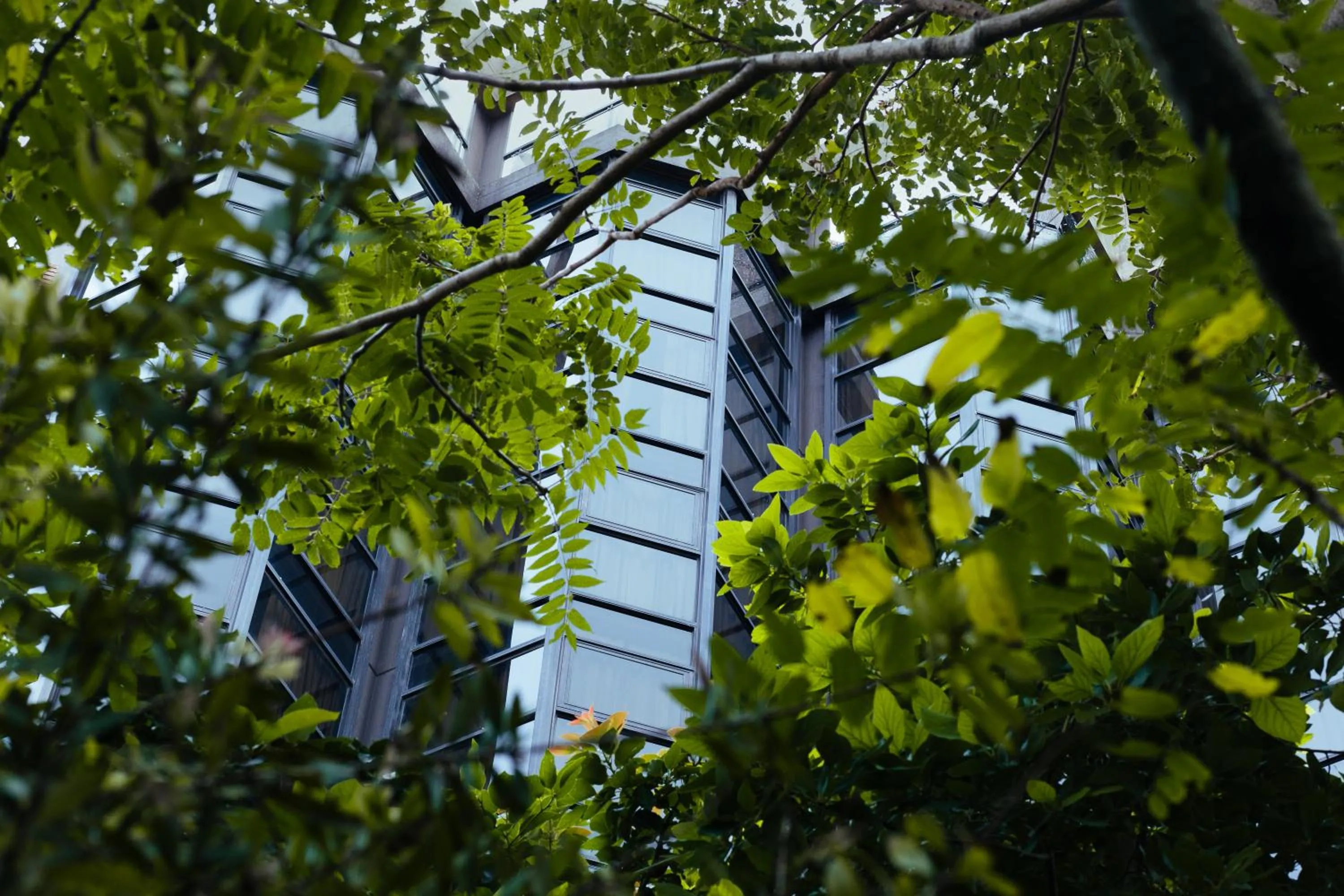 Garden in Primacy Apart Hotel