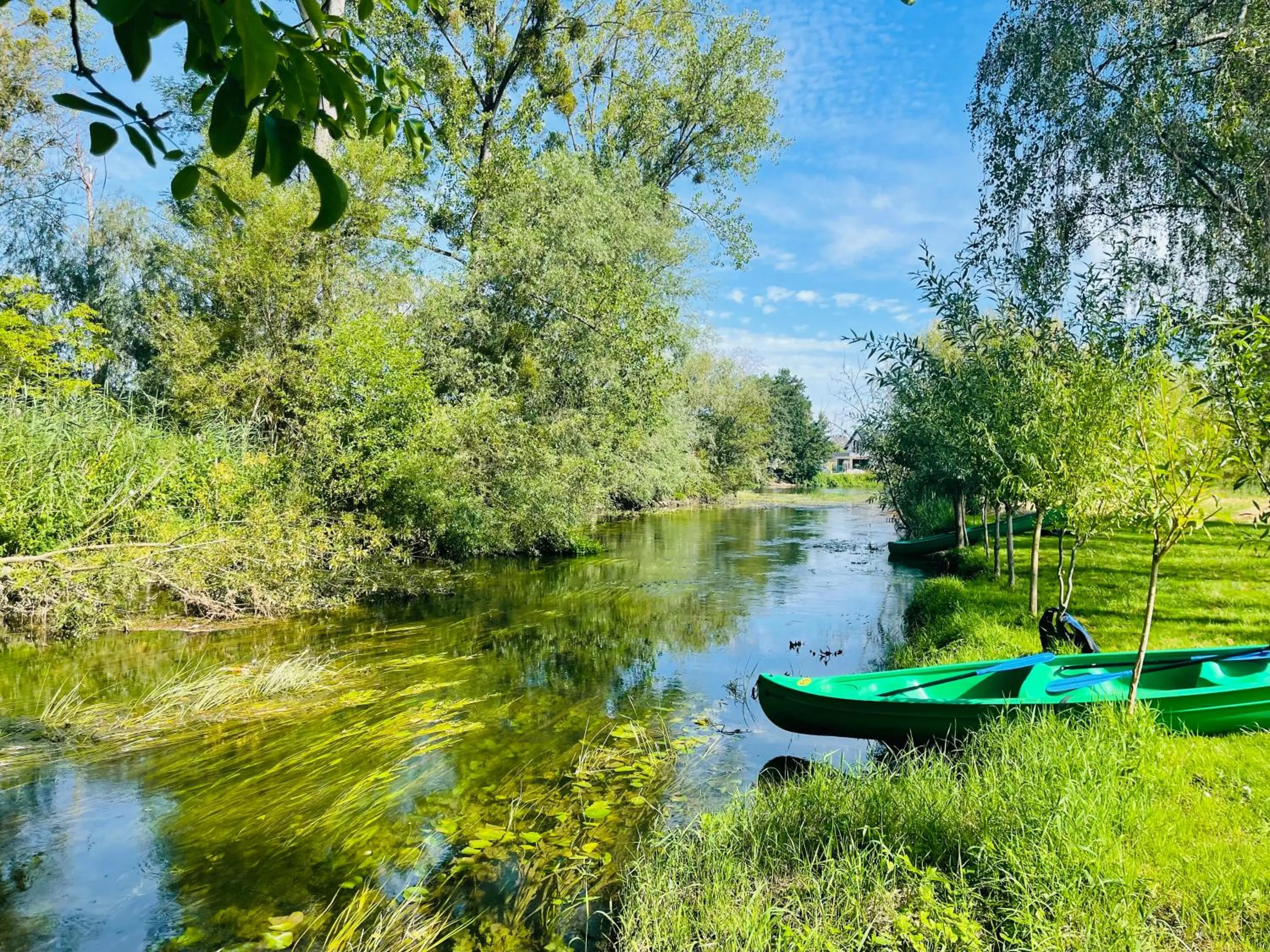 Activities in Hôtel-SPA Le Moulin De La Wantzenau - Strasbourg Nord