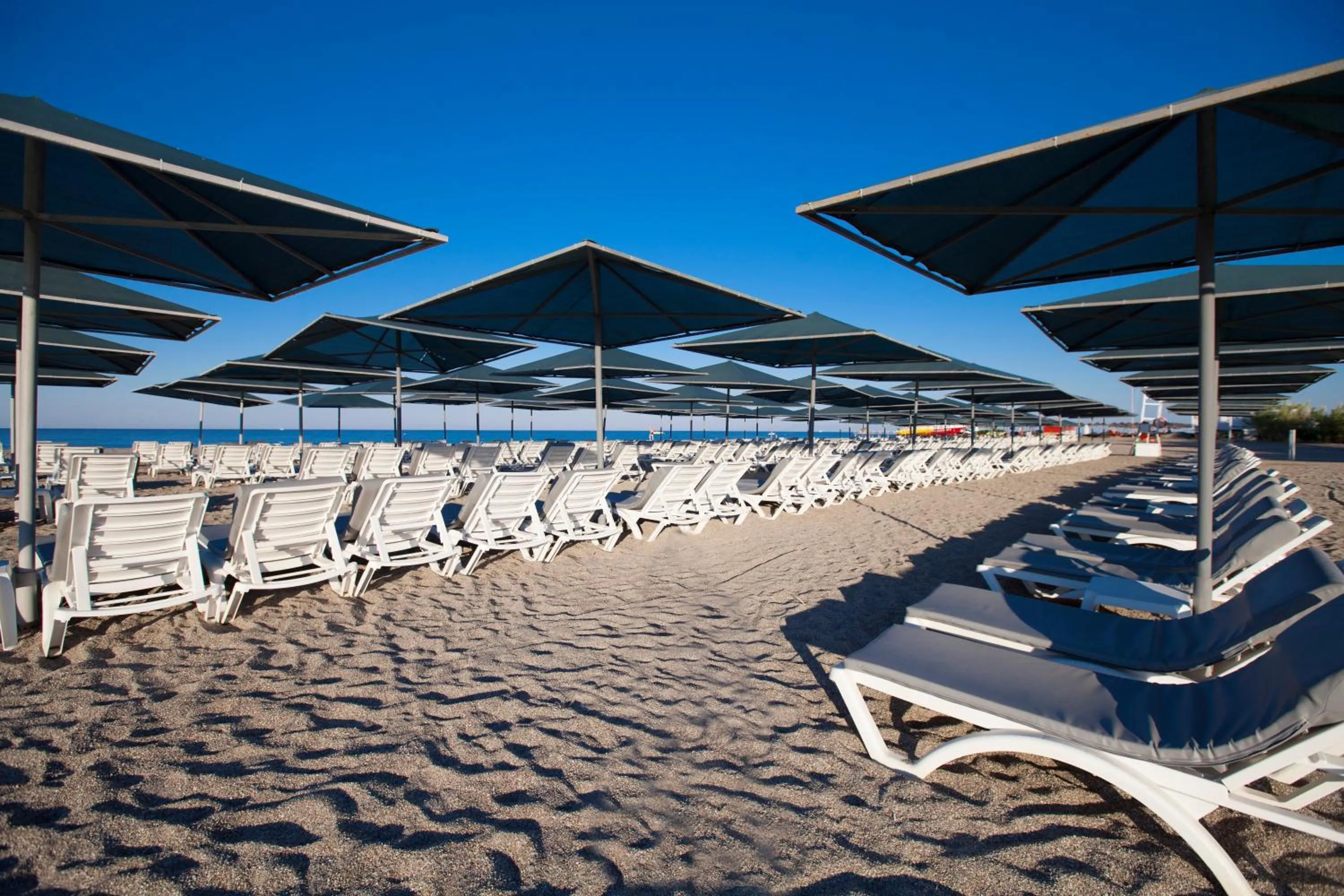 Beach in Washington Resort Hotel & Spa