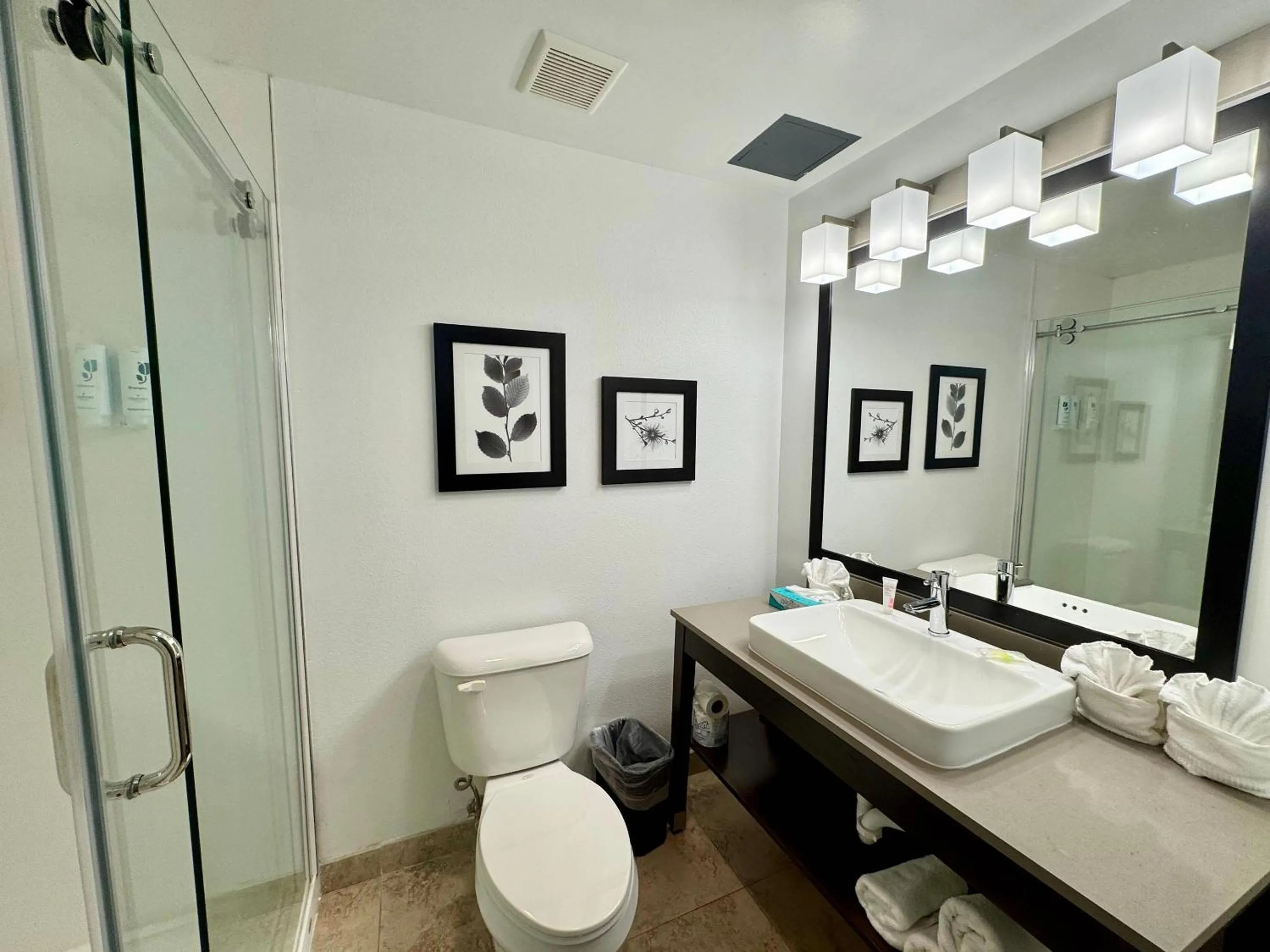 Bedroom in Country Inn & Suites by Radisson, Port Charlotte, FL