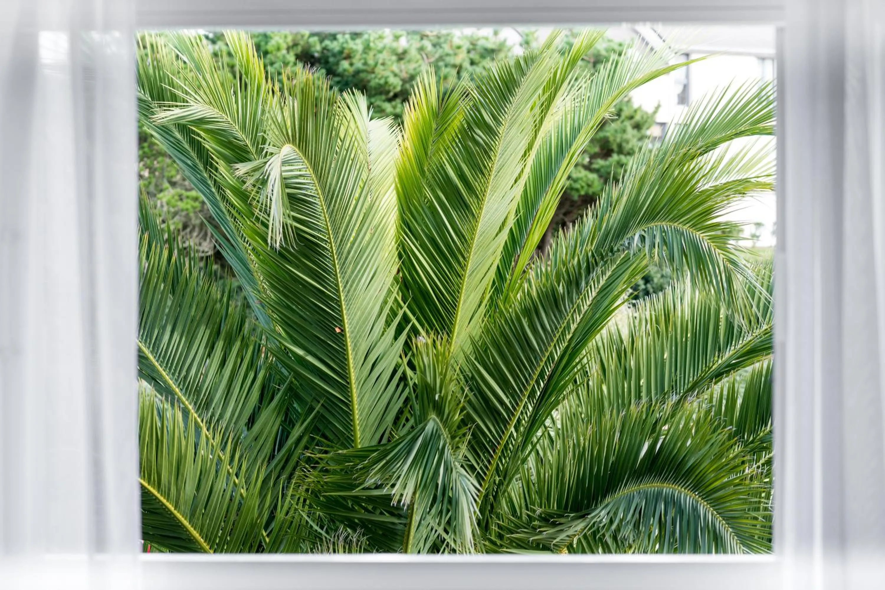 Brit Hôtel De L'océan